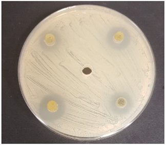 Beverages 06 00065 i034