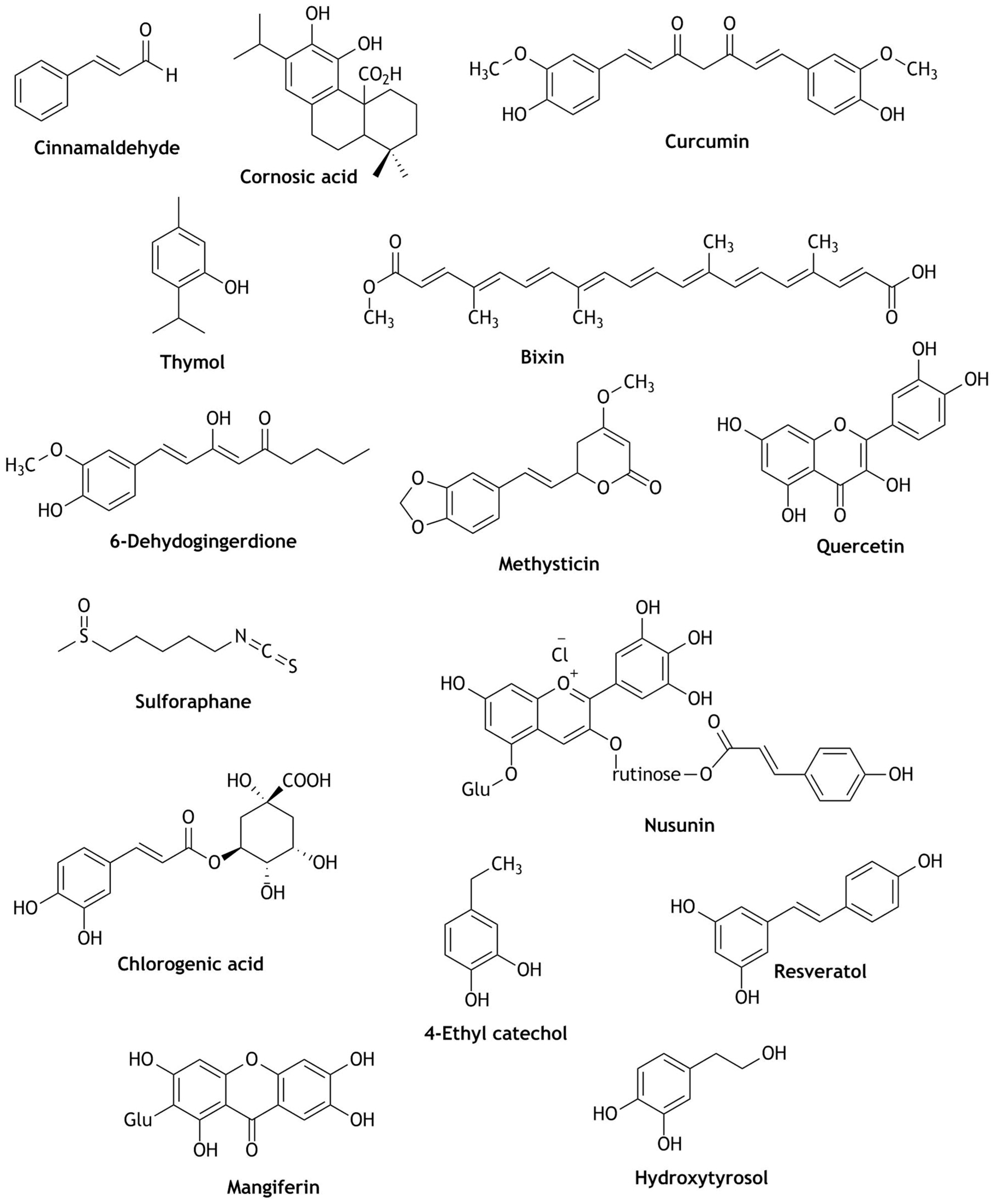 Beverages 06 00068 g002 Beverages 06 00068 g002