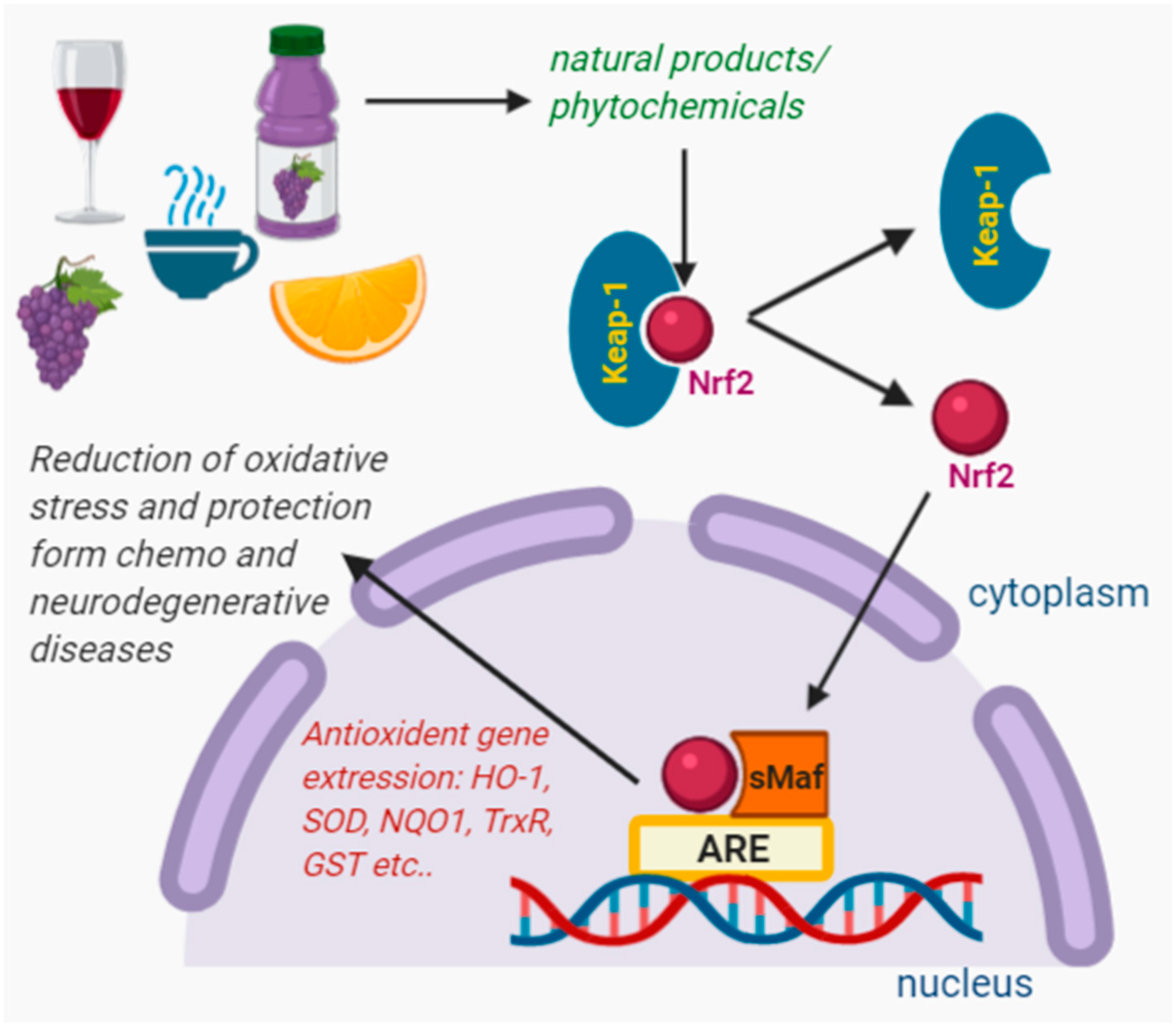 Beverages 06 00068 g003 Beverages 06 00068 g003