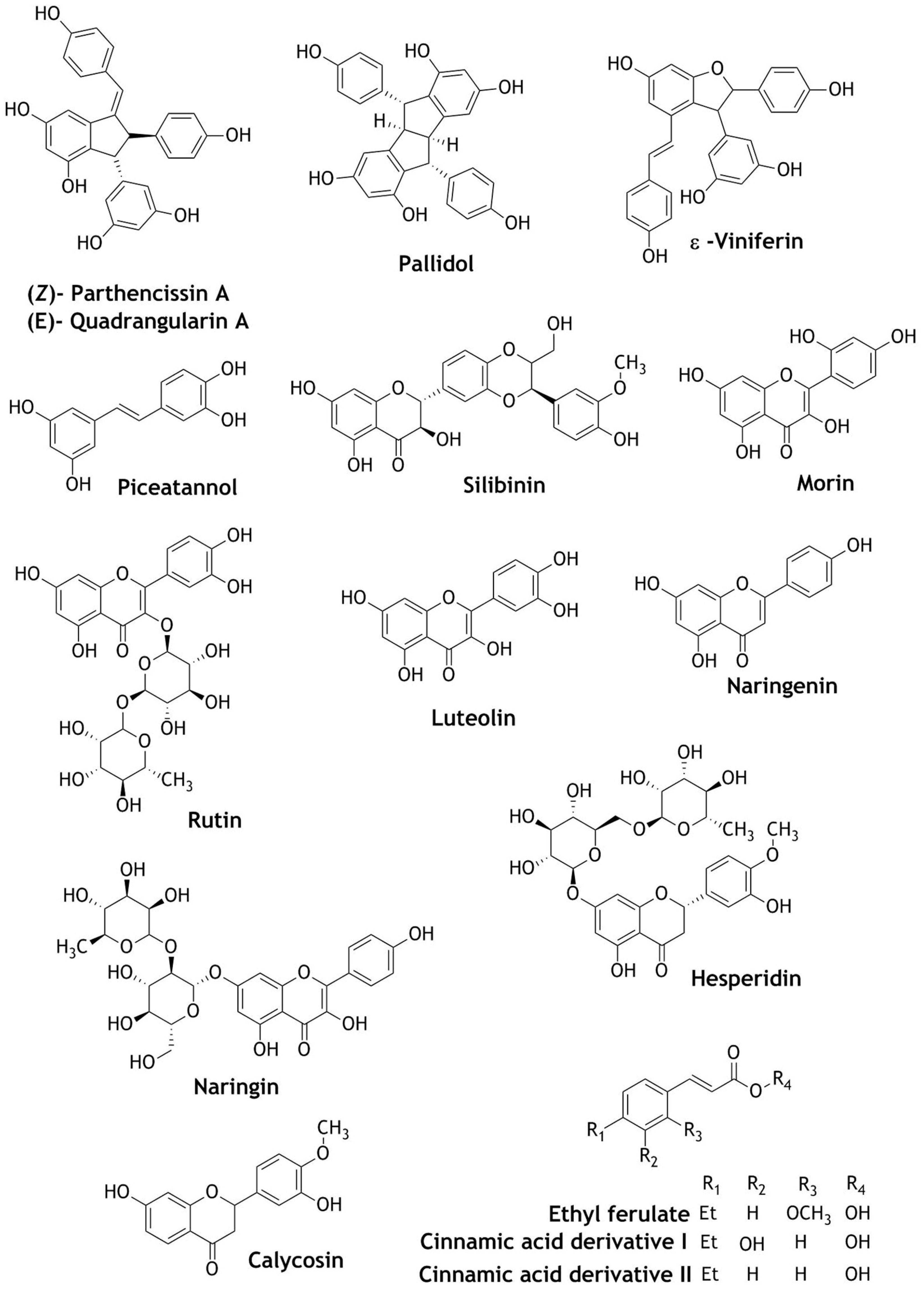 Beverages 06 00068 g006 Beverages 06 00068 g006