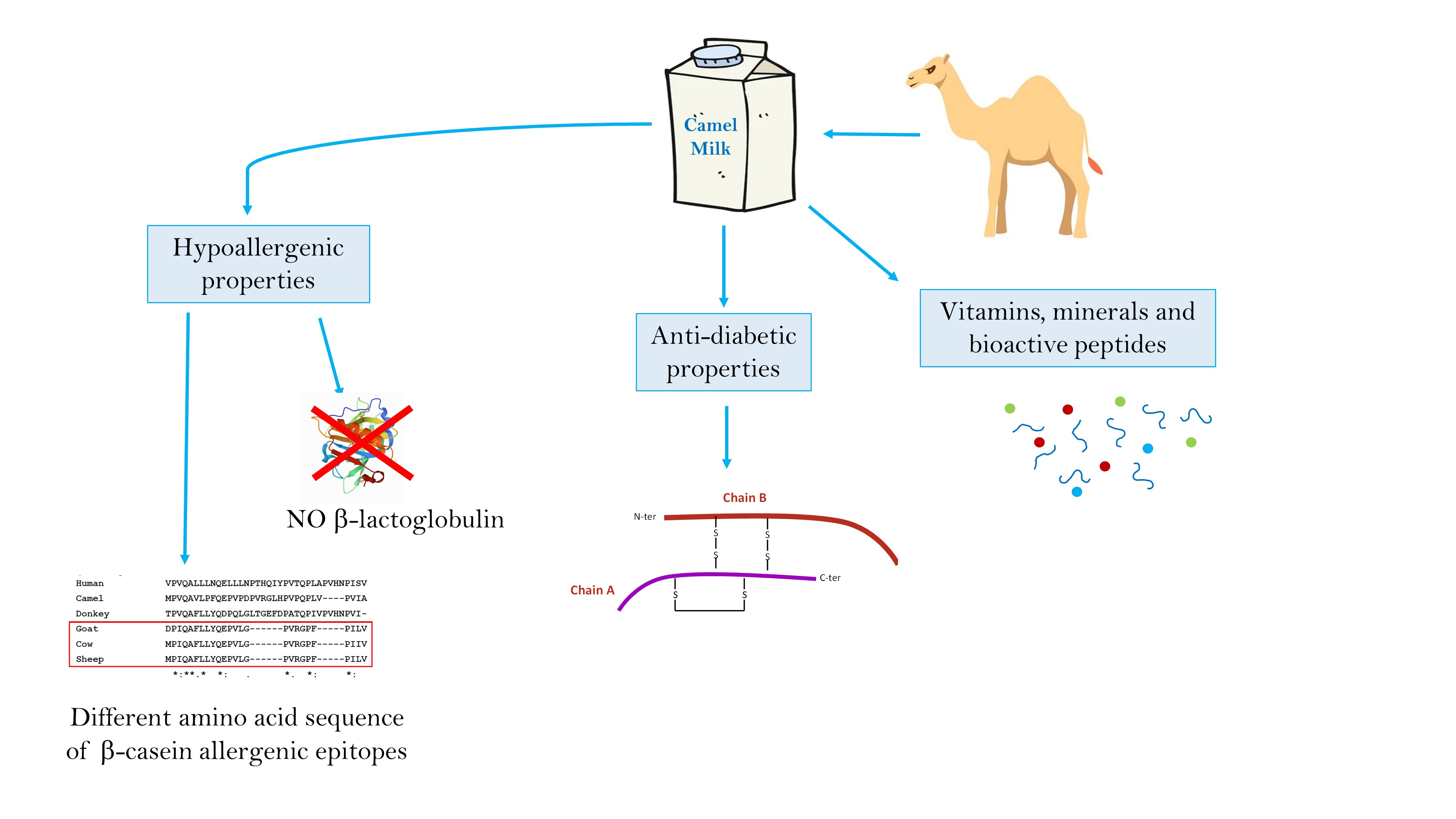 Camel Milk Nutrition Facts Pdf Blog Dandk