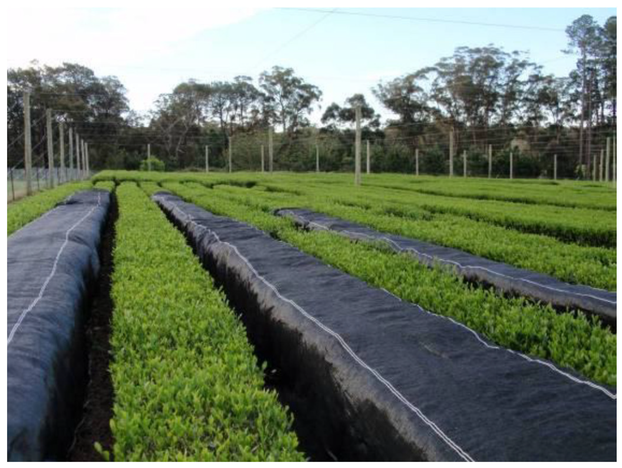 Beverages 08 00022 g001