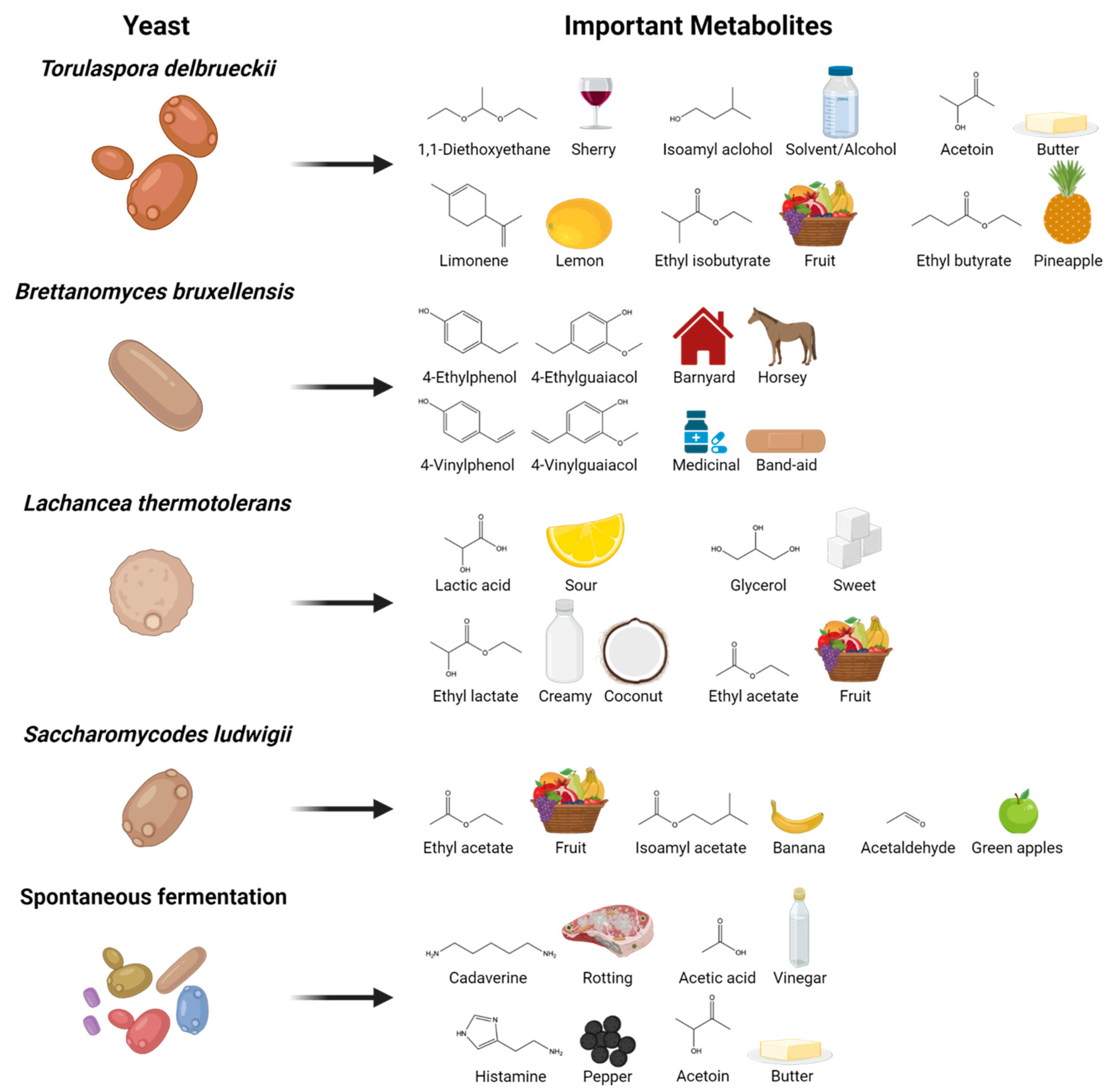 Beverages 08 00041 g001 550