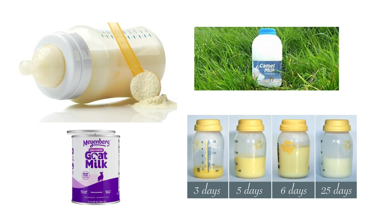 Beverages | Free Full-Text | Nutritional Parameters in Colostrum of ...