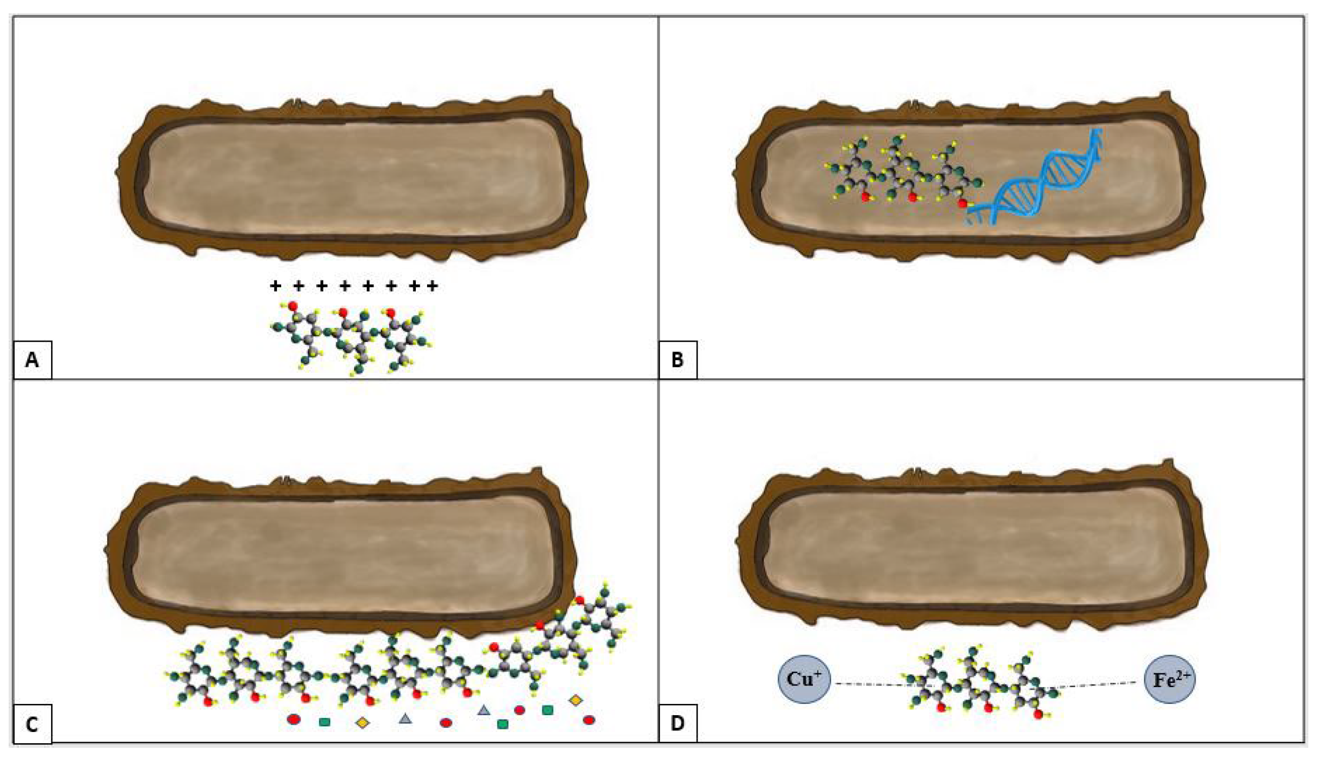Beverages 08 00058 g002