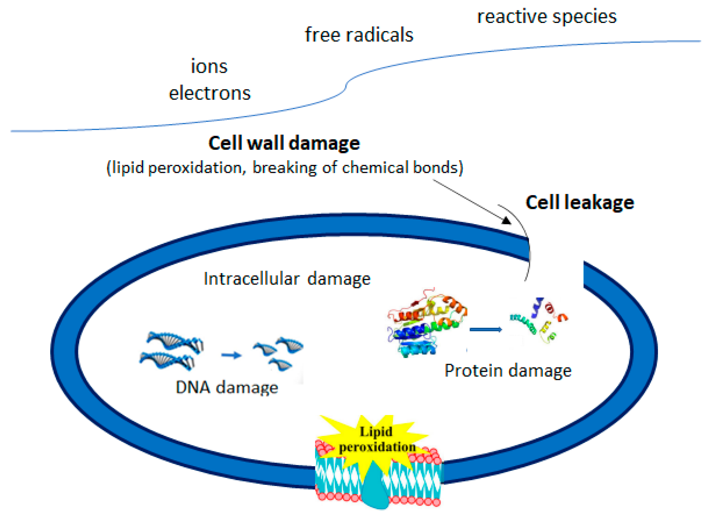 Beverages 08 00063 g002 Beverages 08 00063 g002