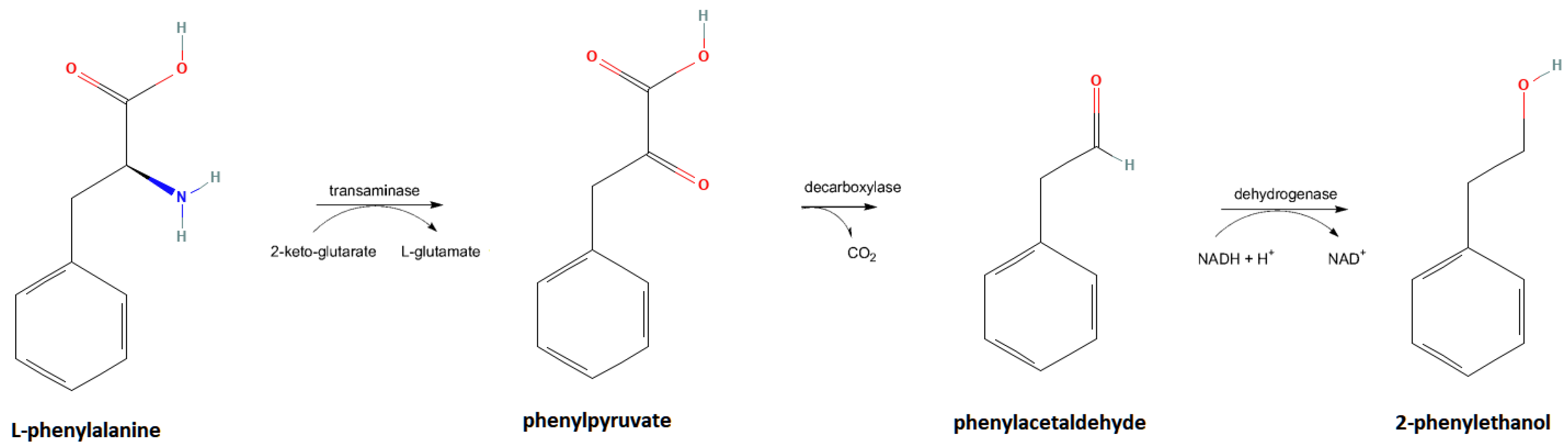 Beverages 08 00064 g001