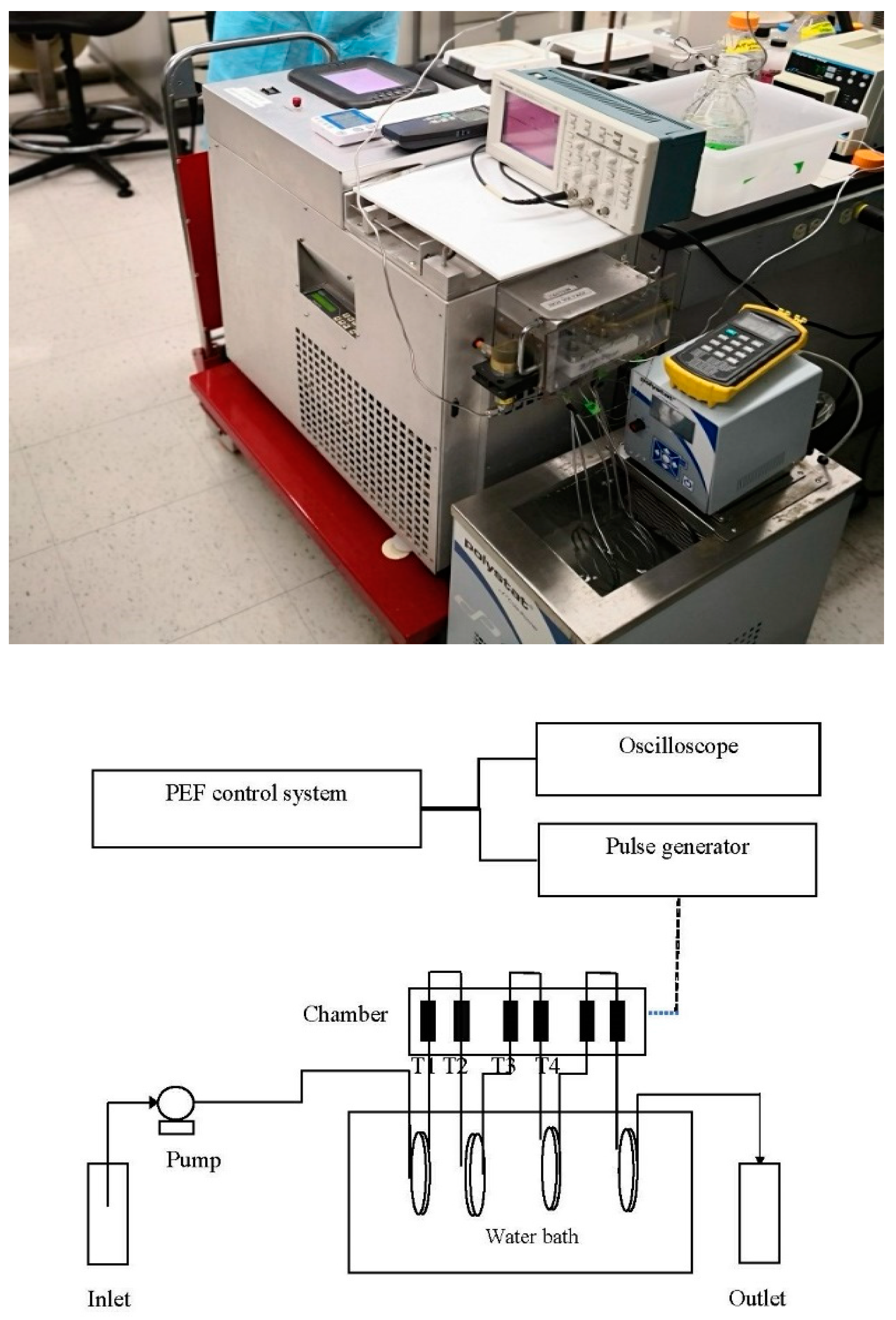Beverages 08 00072 g001