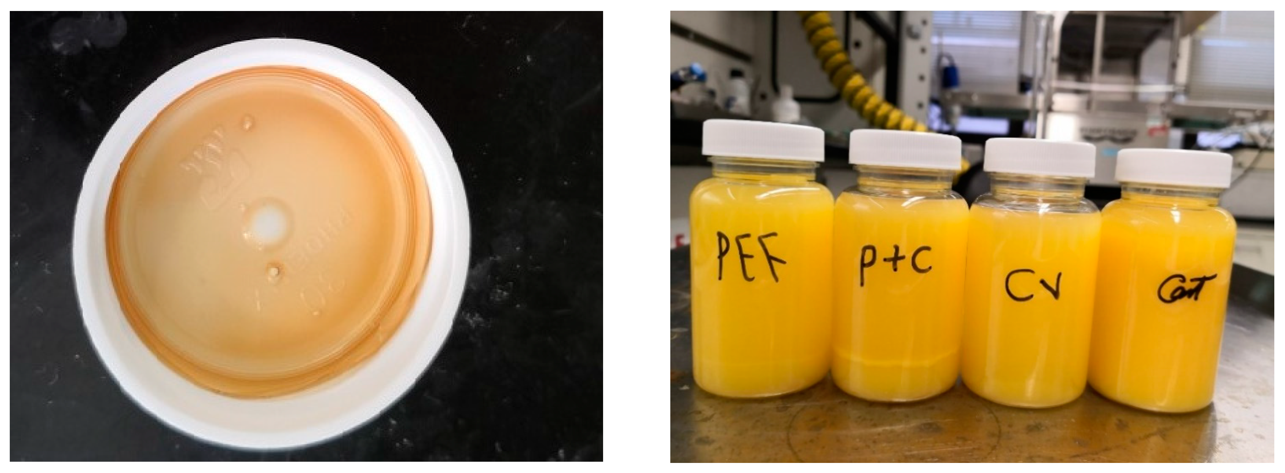 Beverages 08 00072 g002