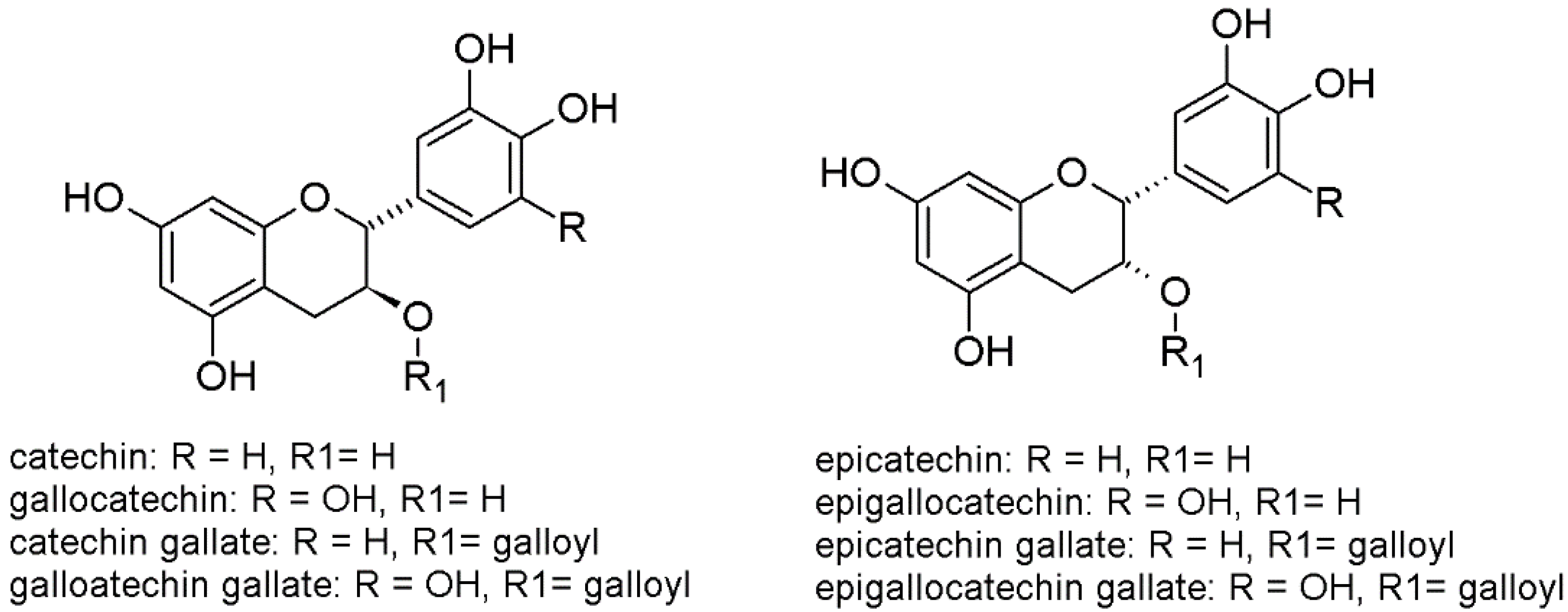 Beverages 08 00076 g001