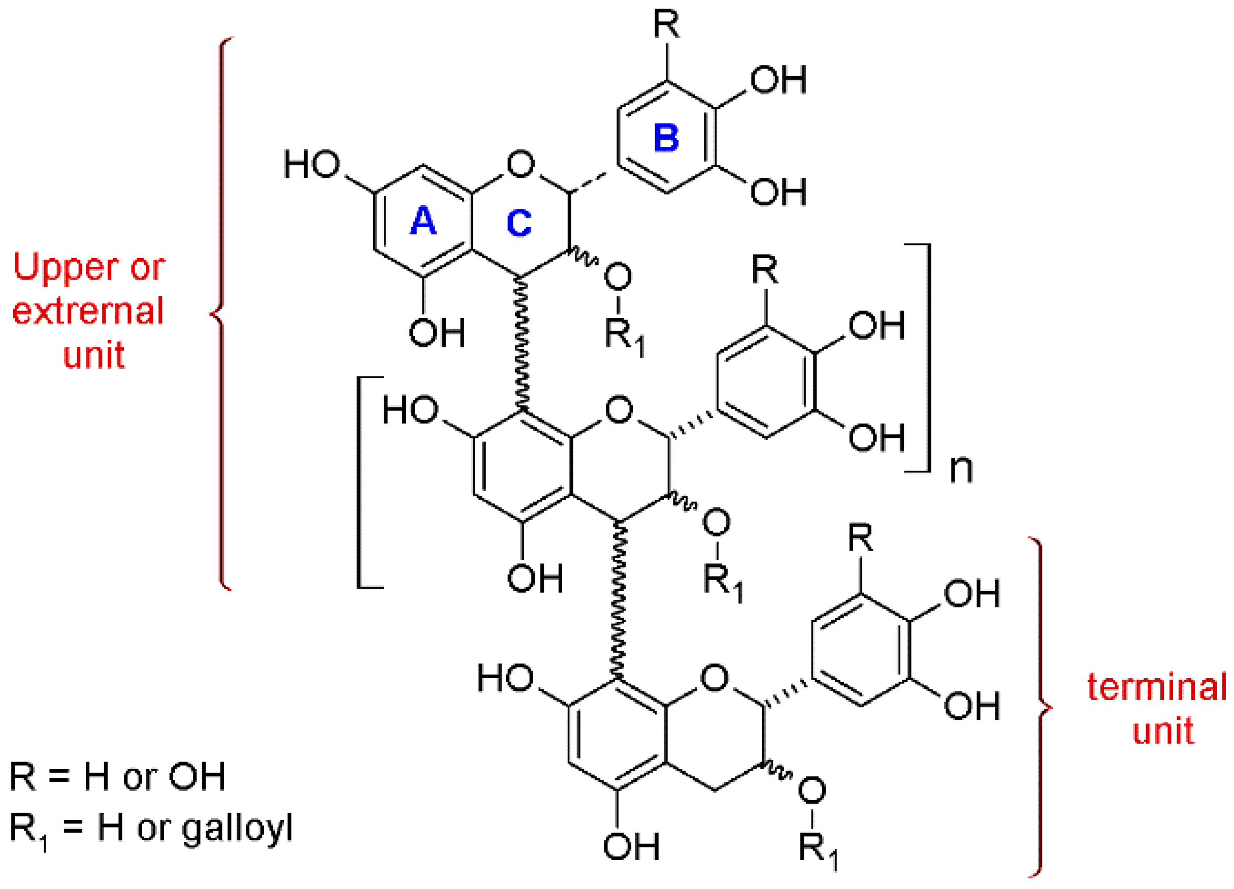 Beverages 08 00076 g002