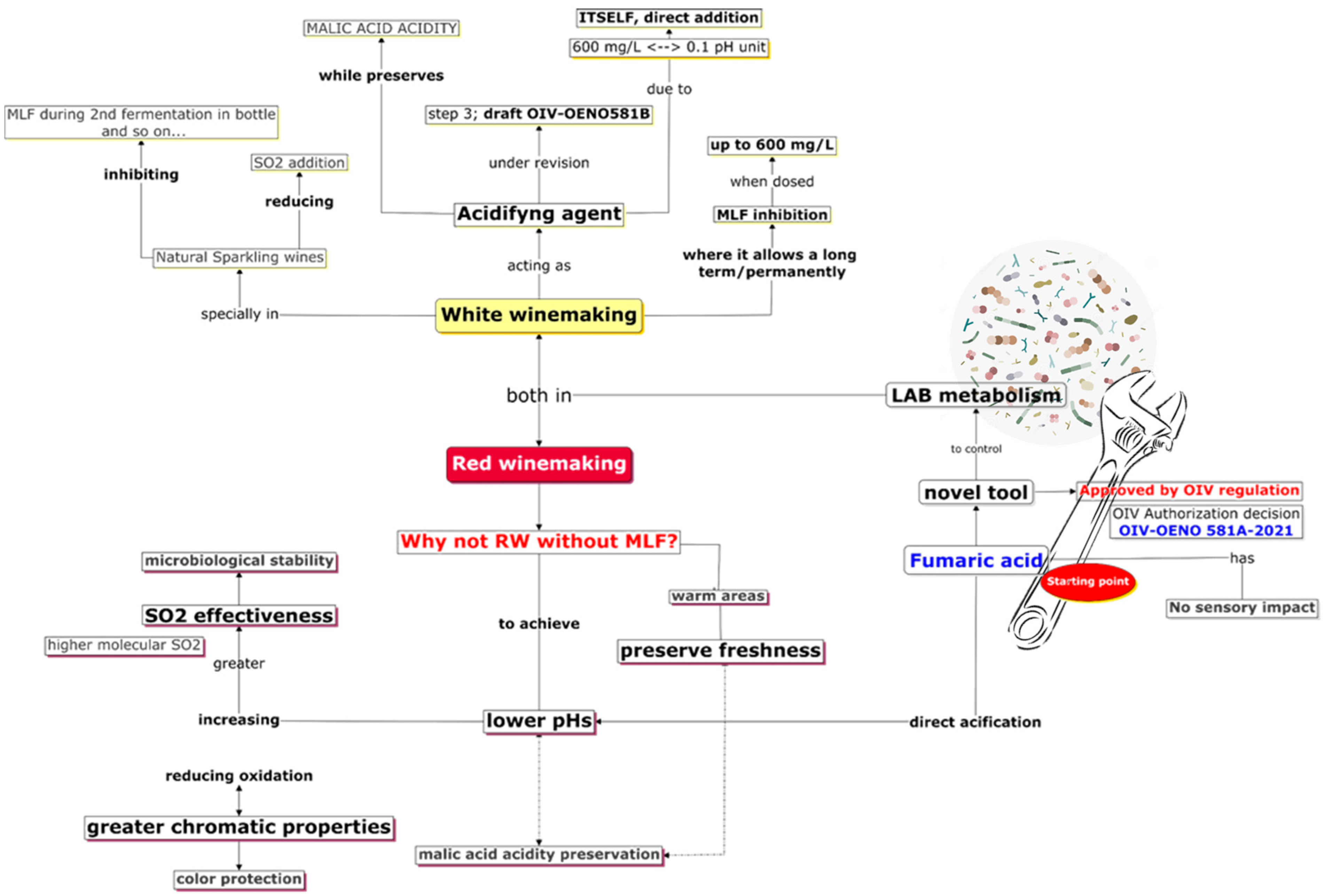 Beverages 09 00016 g001