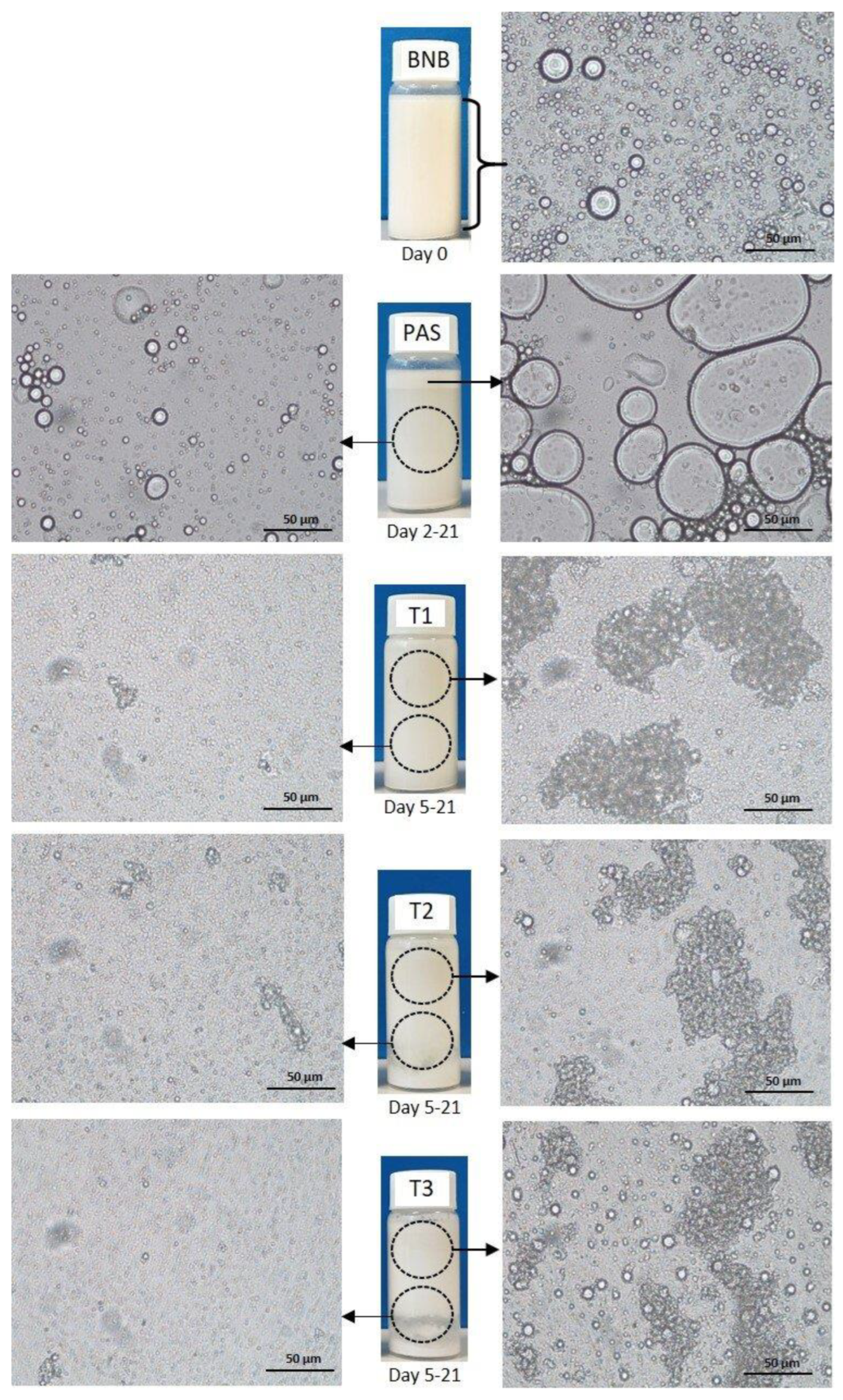 Beverages 09 00022 g005