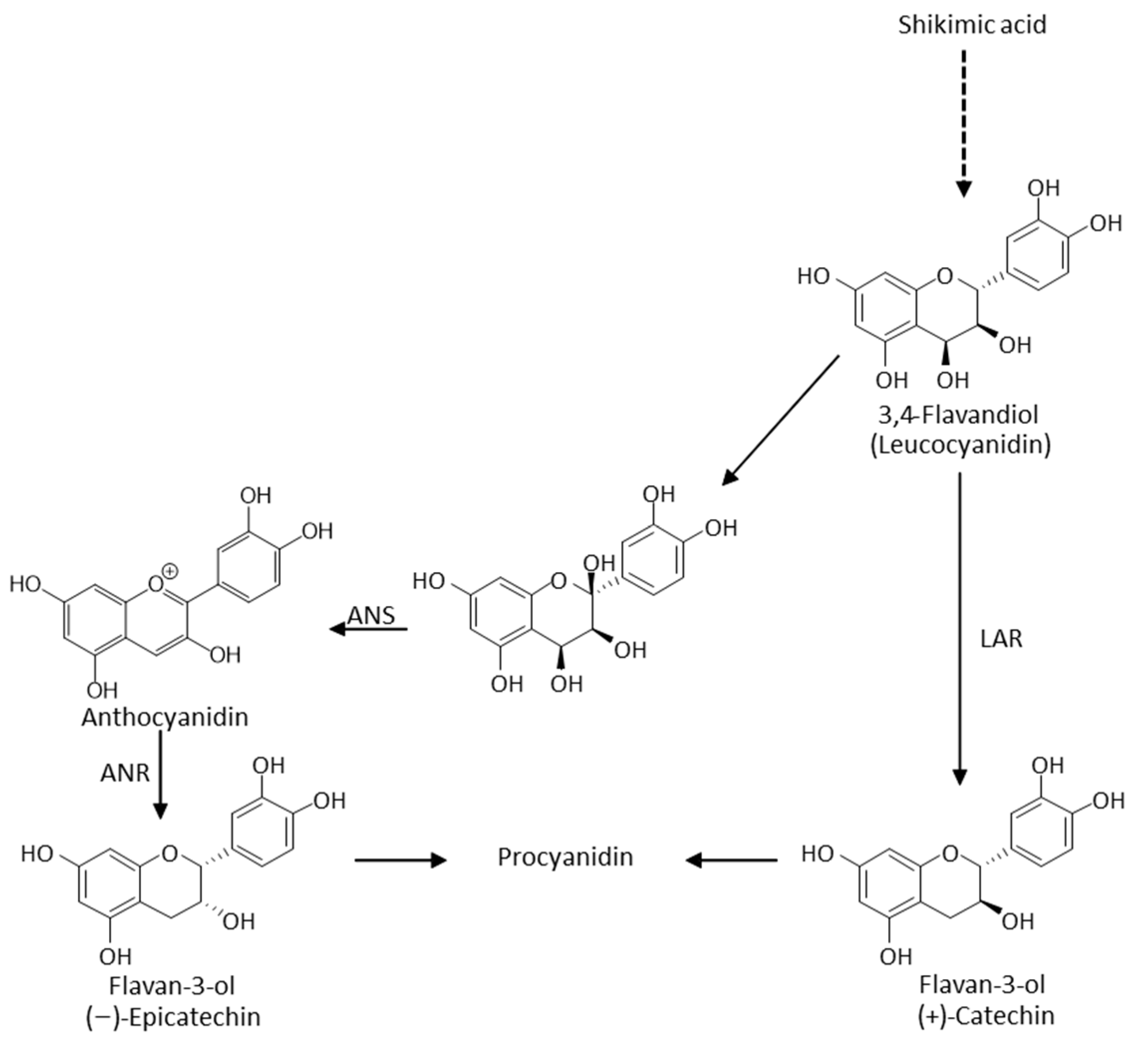 Beverages 09 00067 g002 Beverages 09 00067 g002