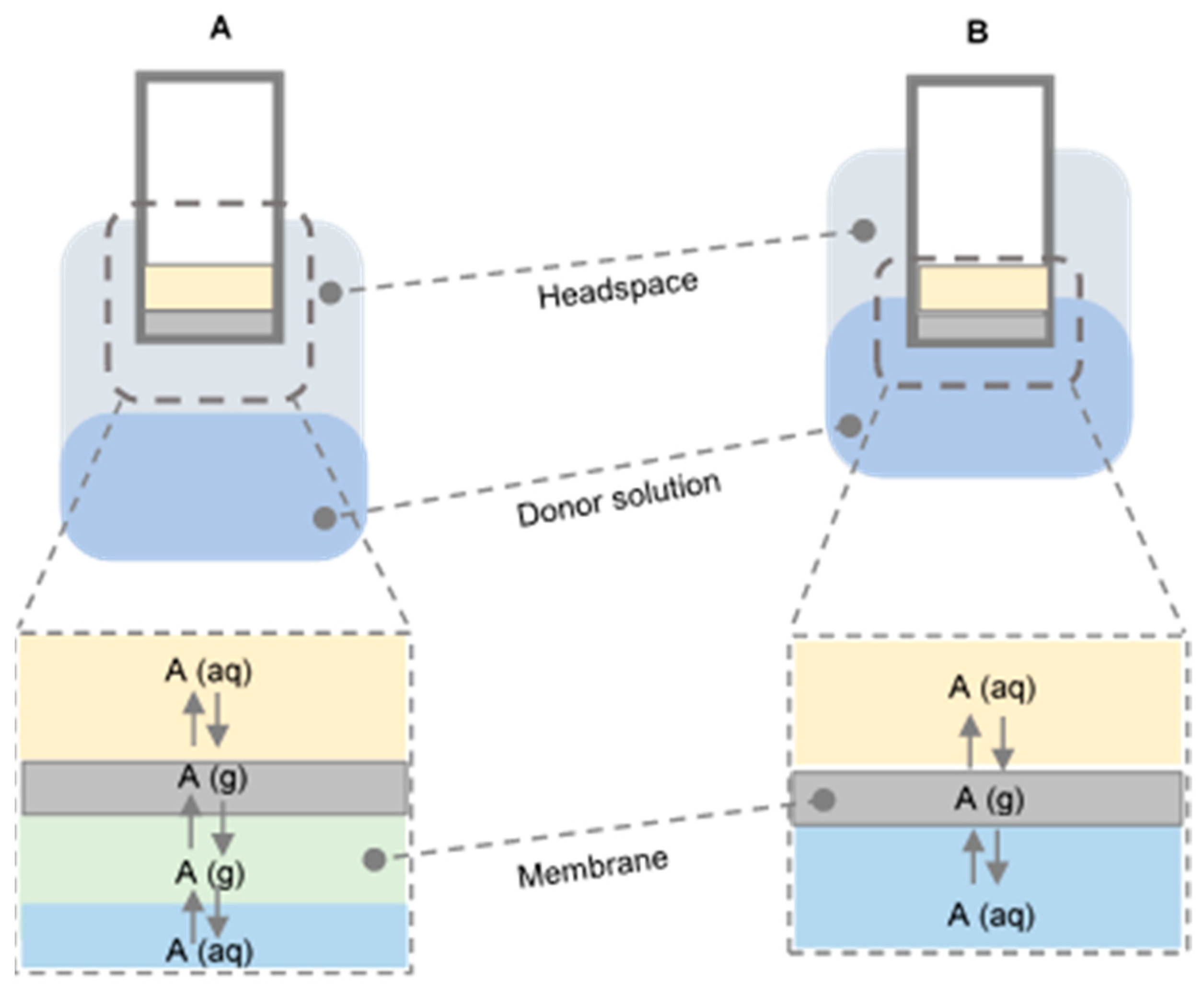 Beverages 09 00071 g005