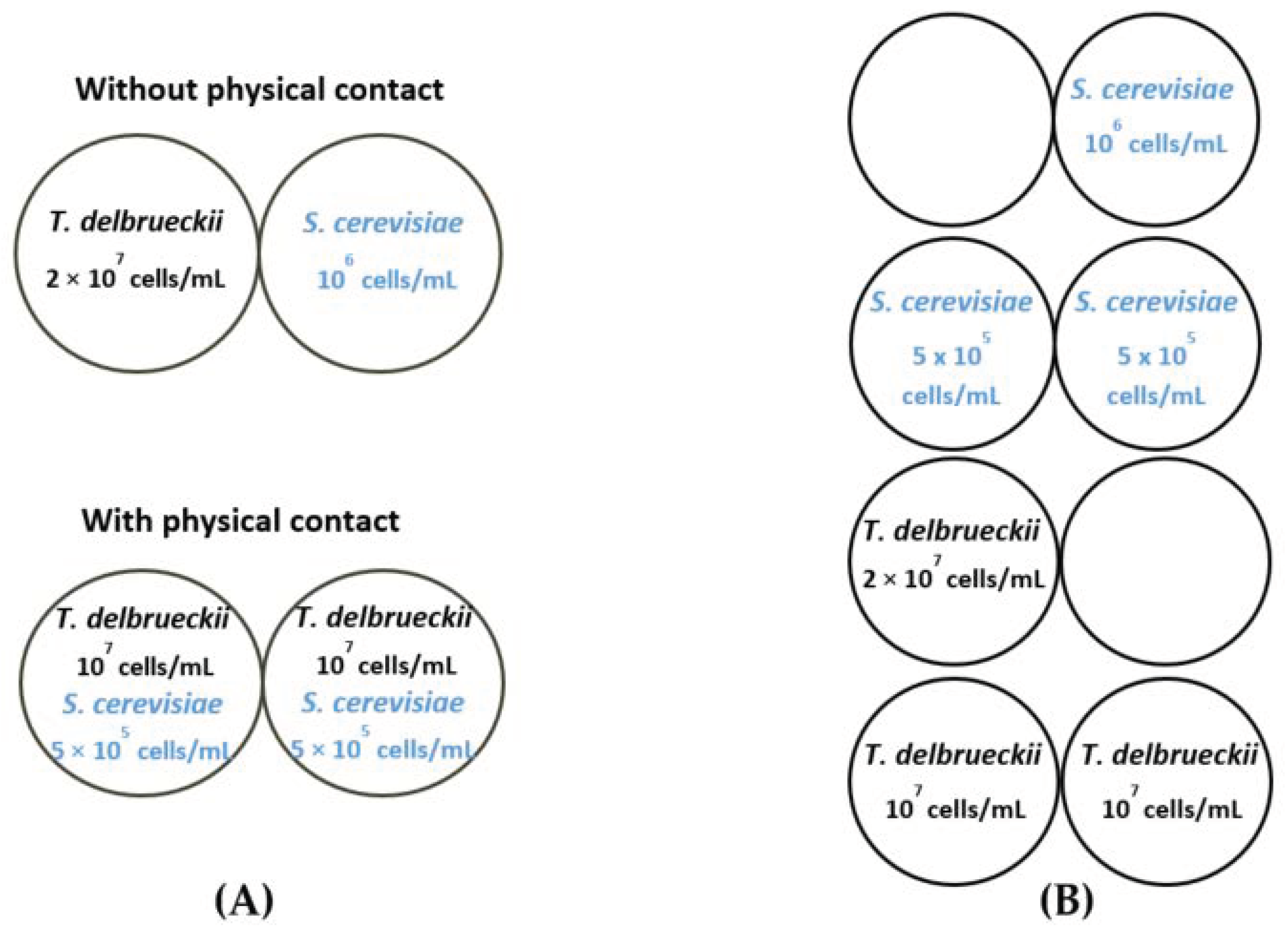 Beverages 09 00081 g001