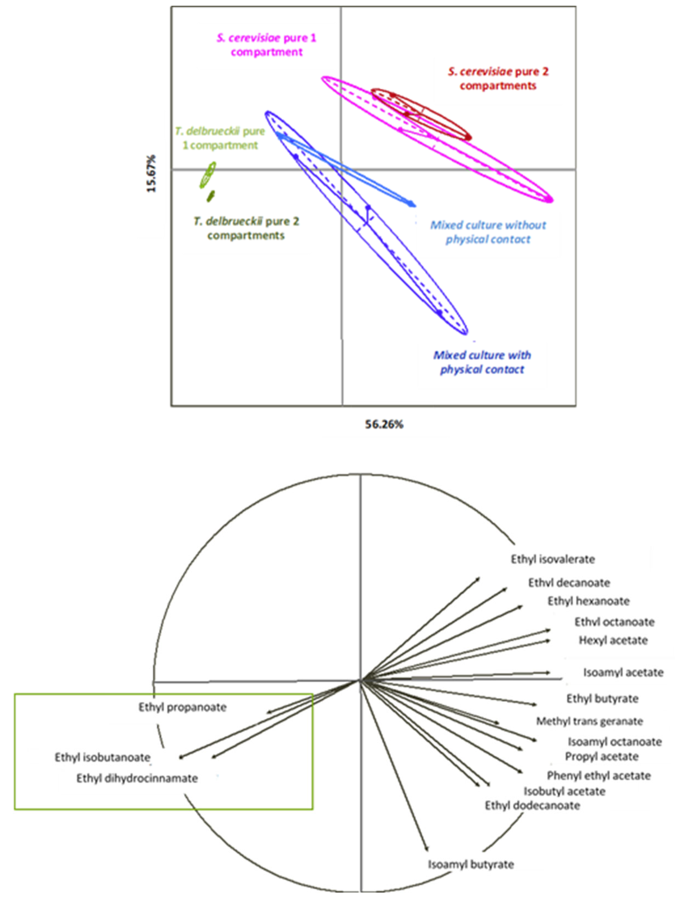 Beverages 09 00081 g007