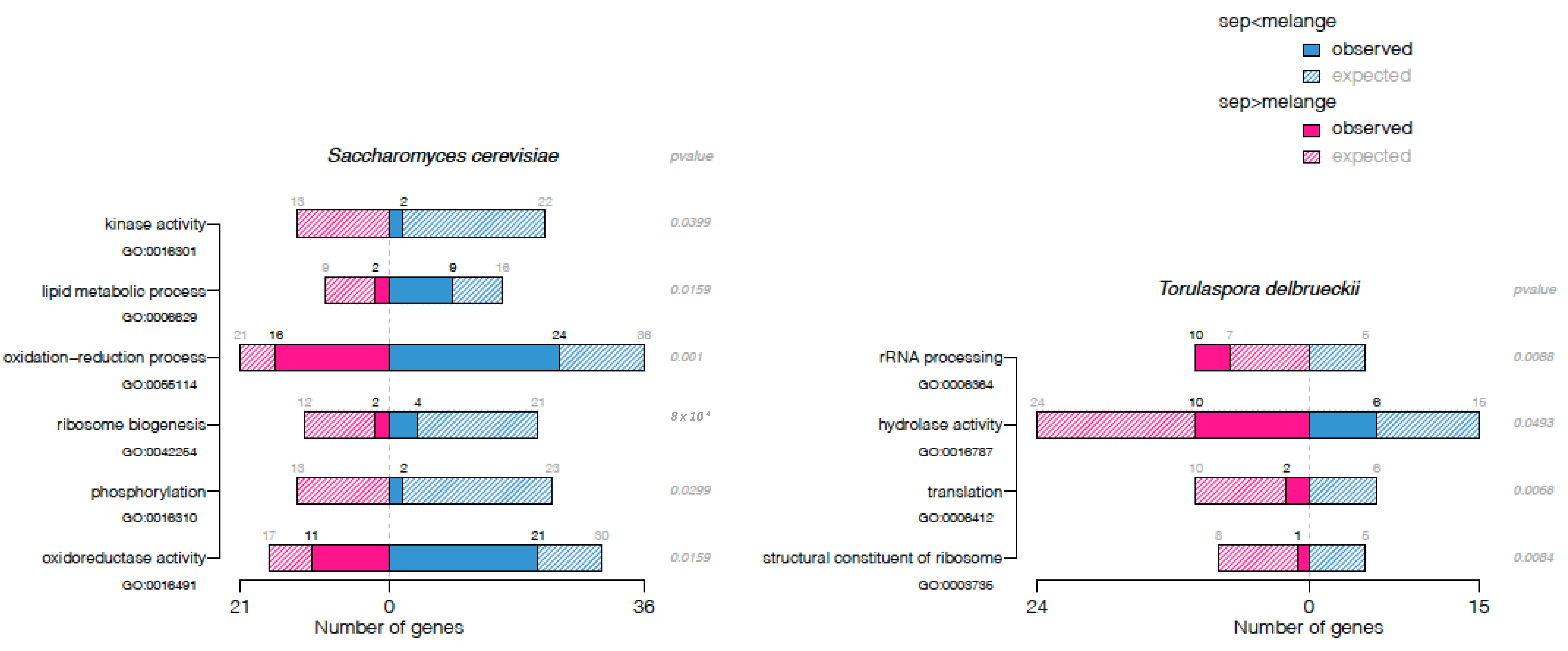 Beverages 09 00081 g010
