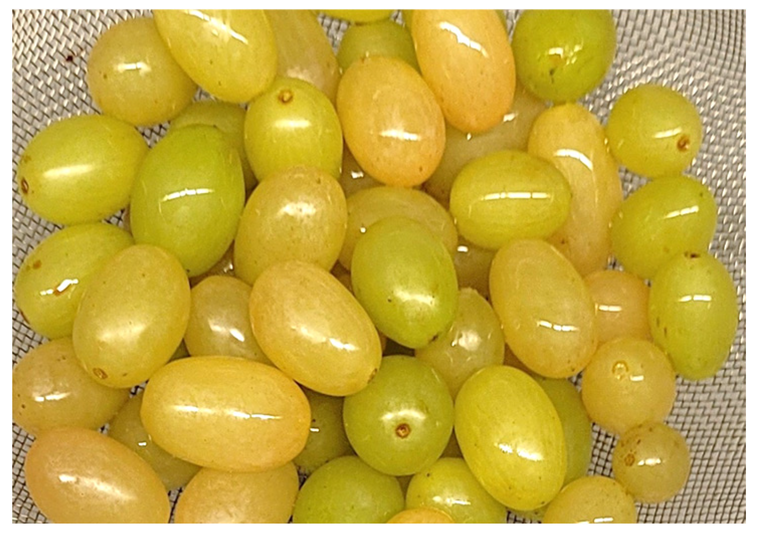 Beverages 09 00082 g002