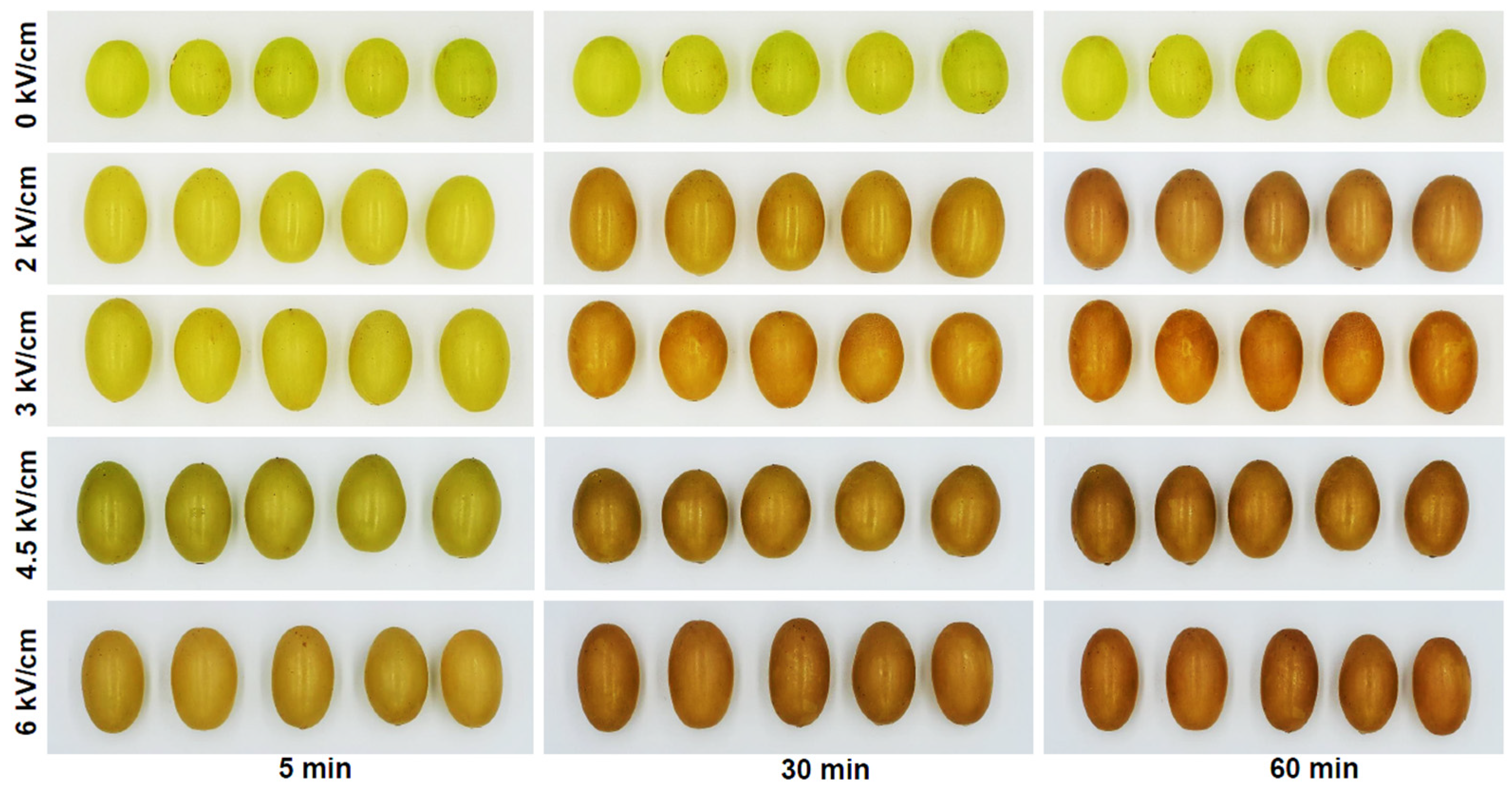 Beverages 09 00082 g003