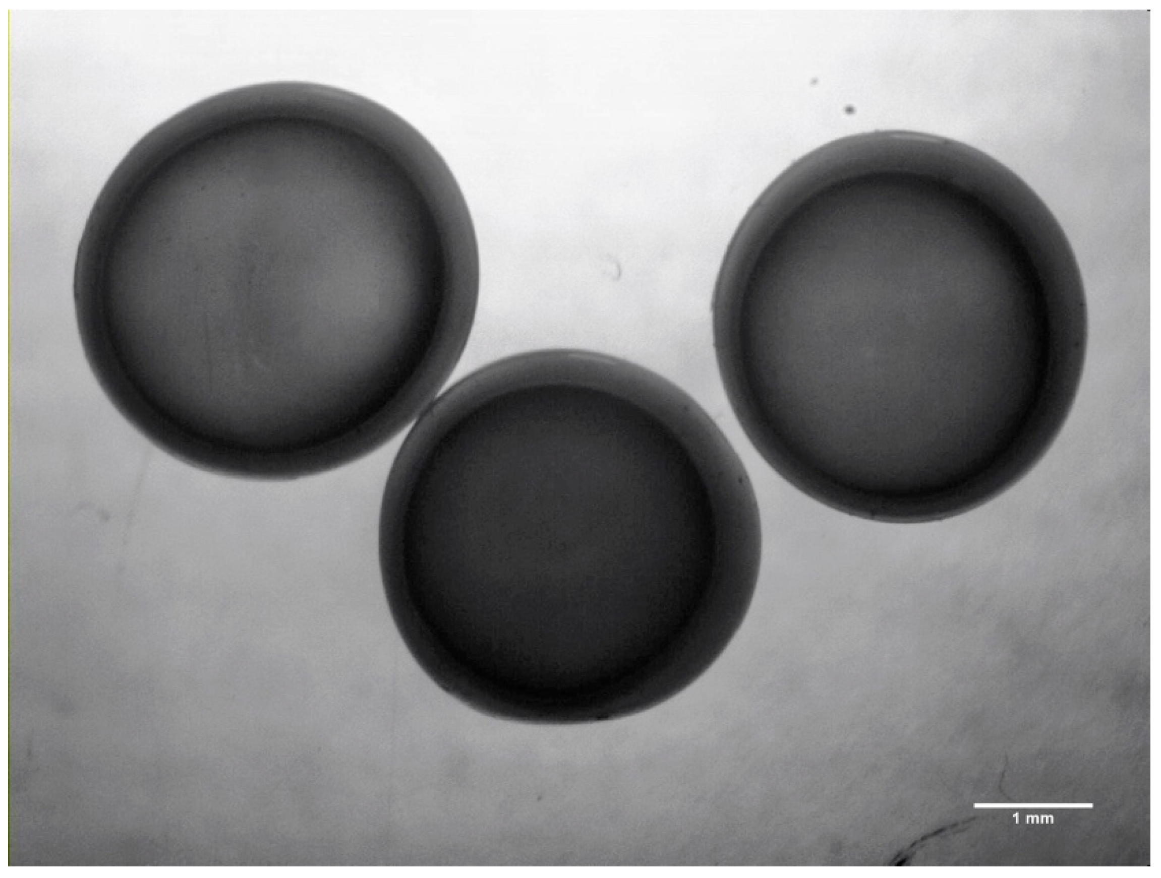 Beverages 09 00083 g001