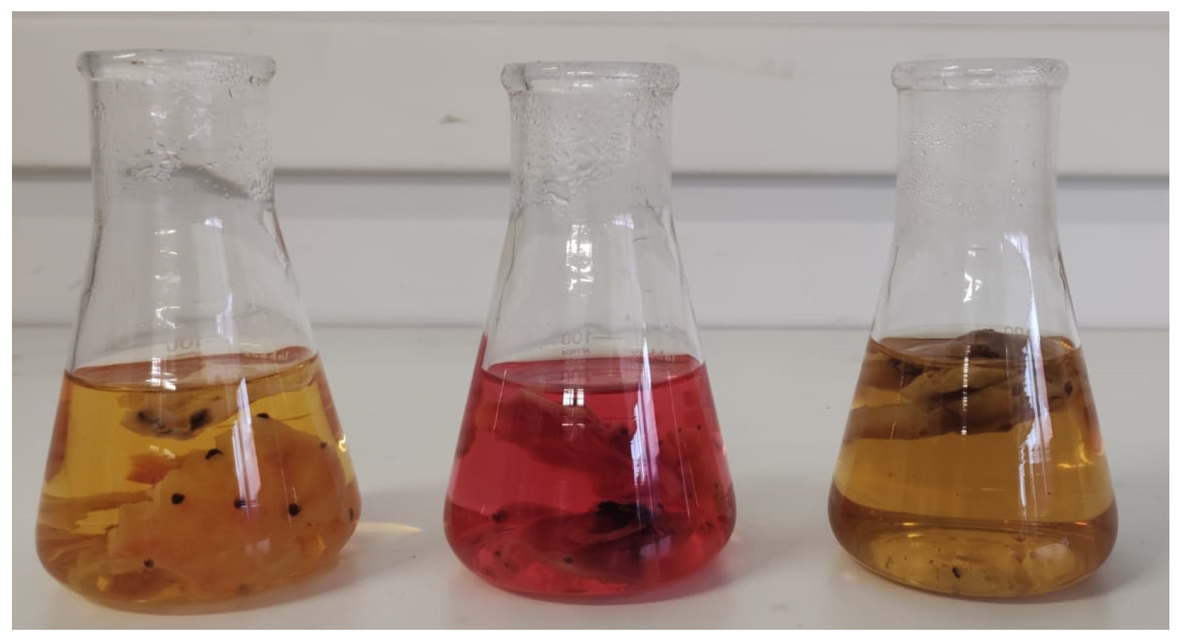 Beverages 09 00097 g011