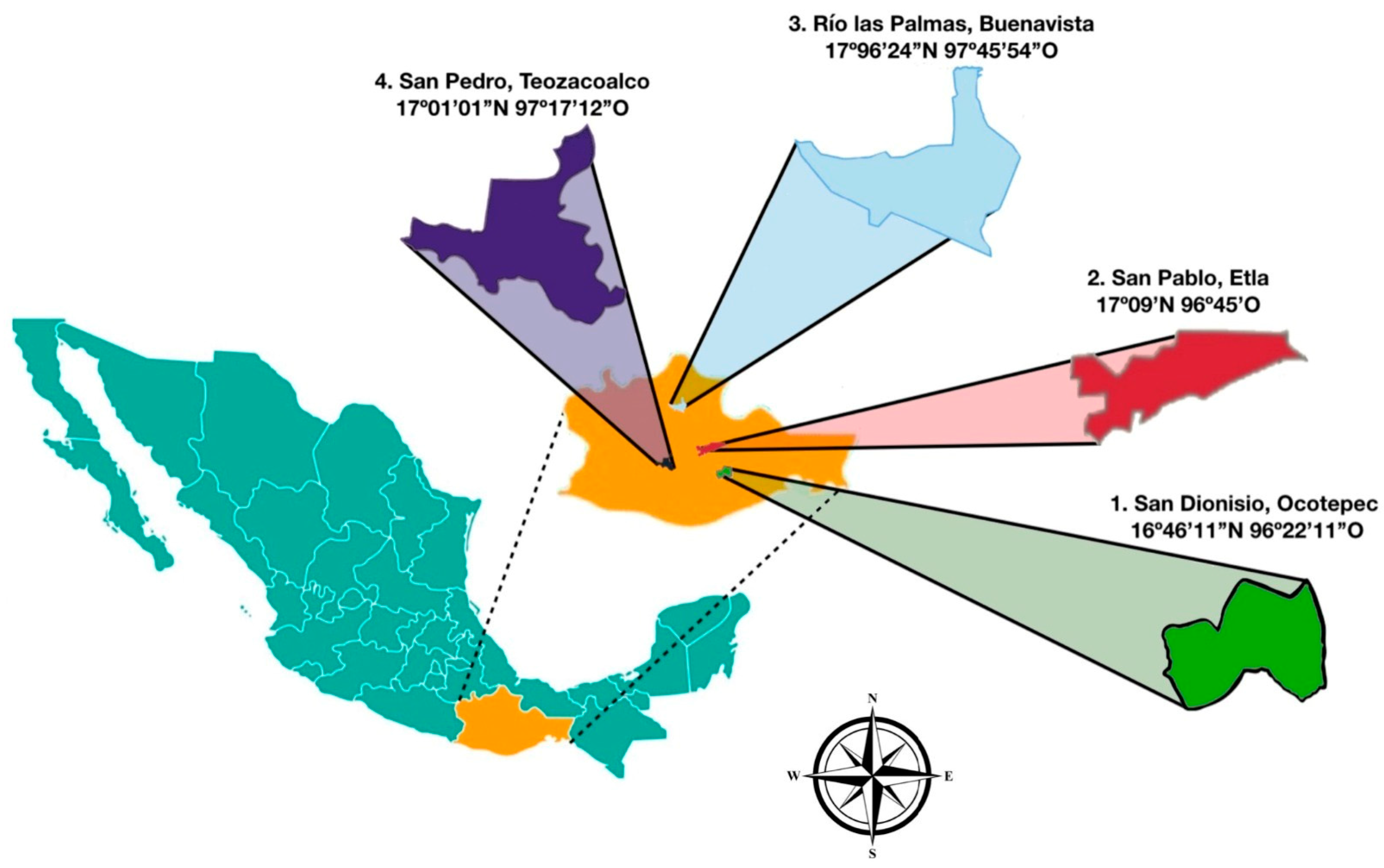 Beverages 09 00099 g001