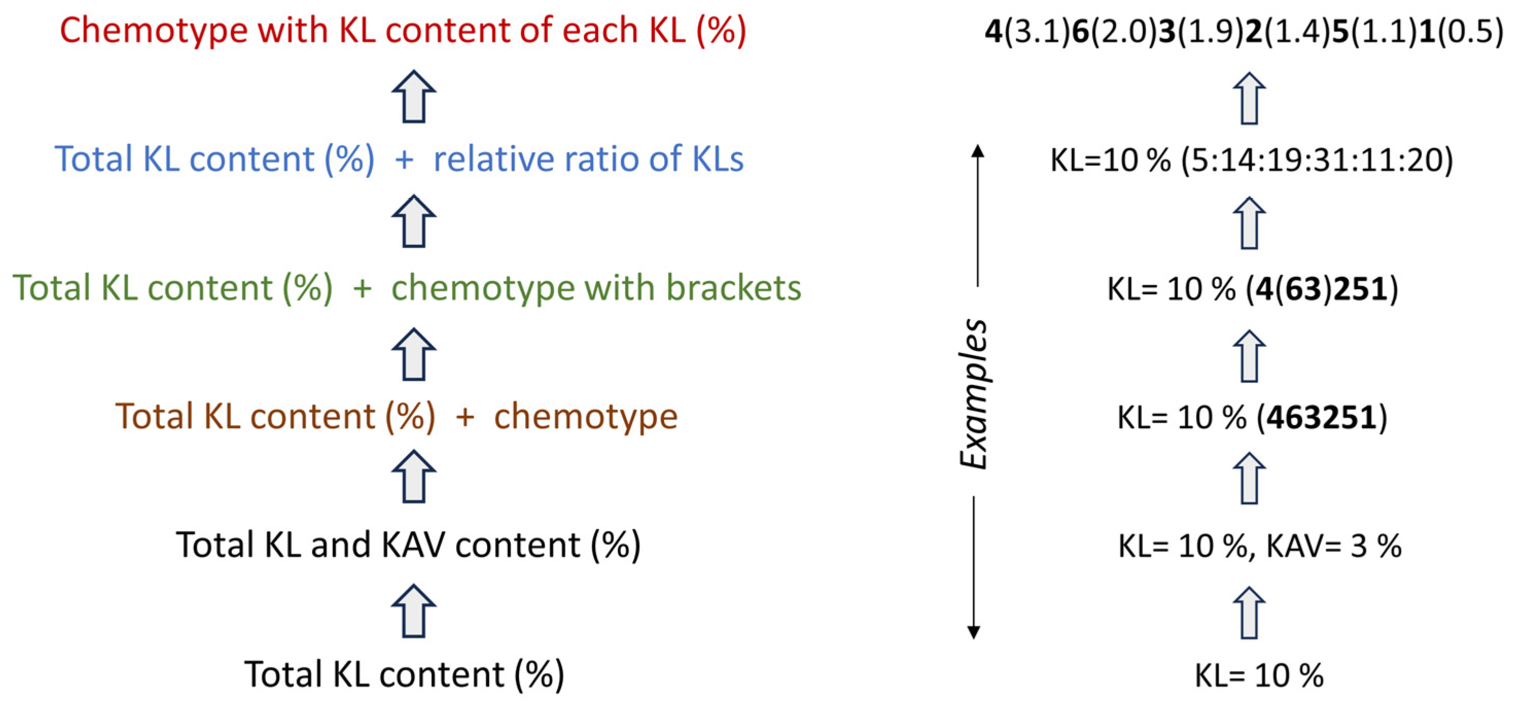Beverages 10 00004 g005