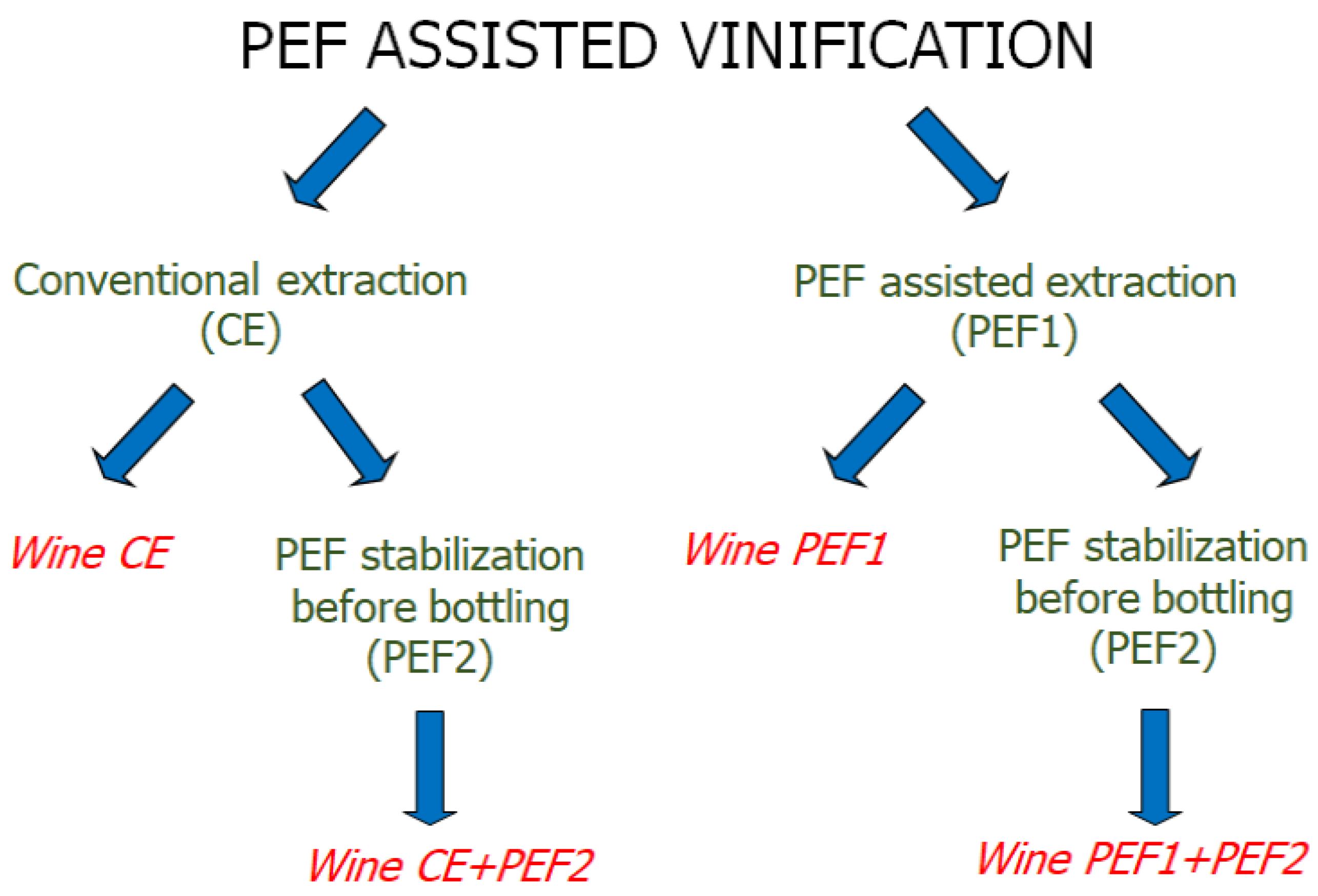 Beverages 10 00006 g002