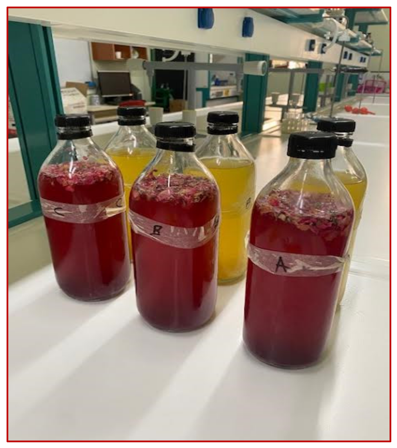 Beverages 10 00009 g001