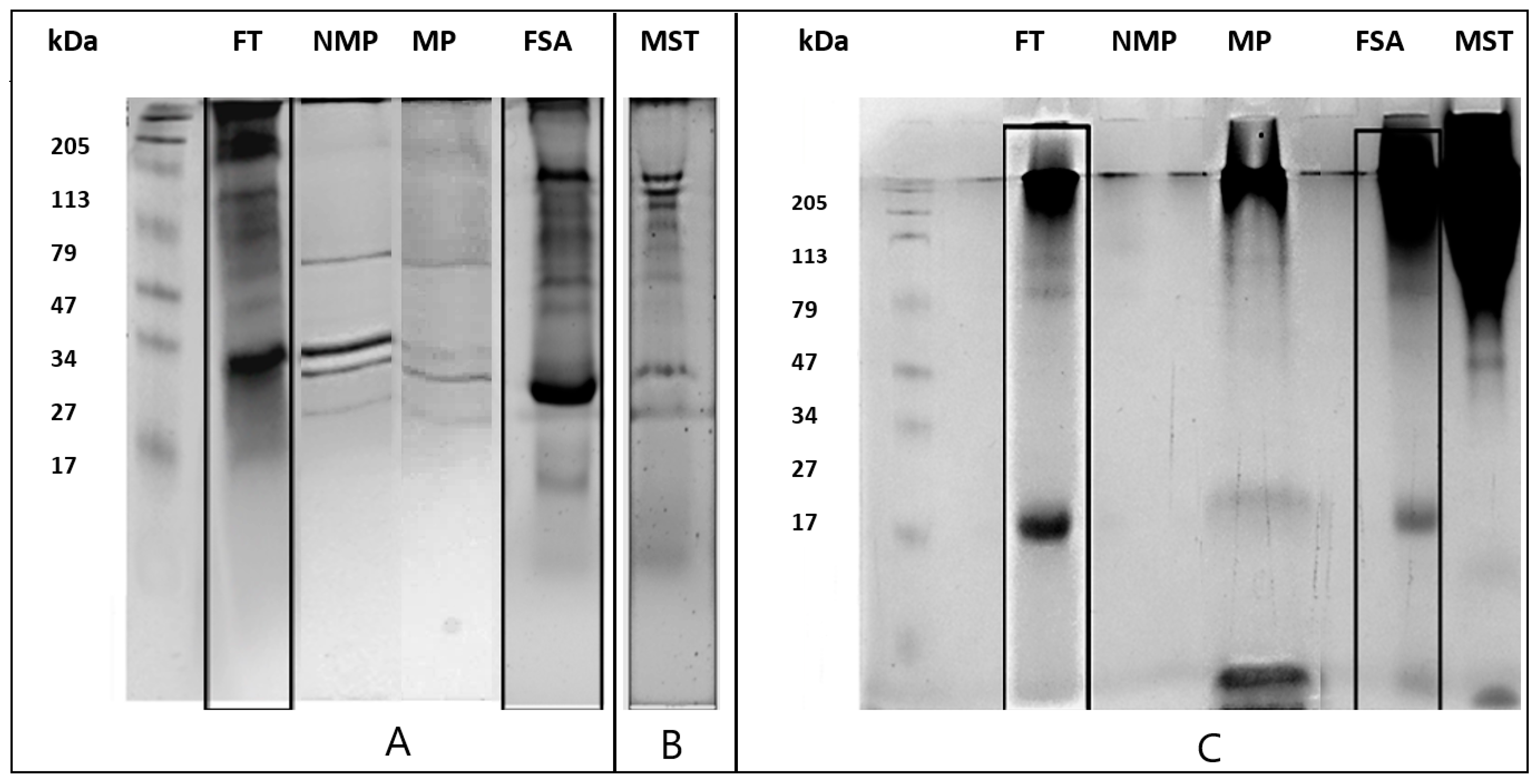 Beverages 10 00021 g001