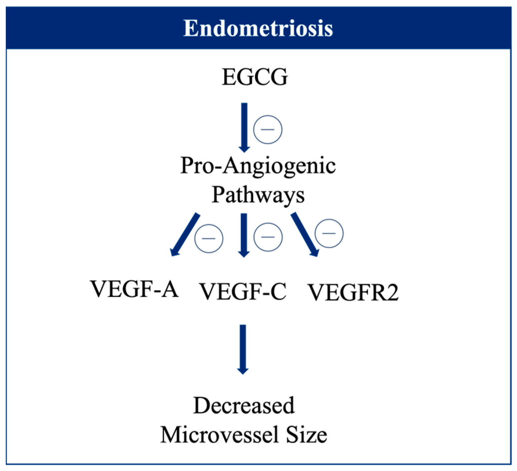 Beverages 10 00033 g002