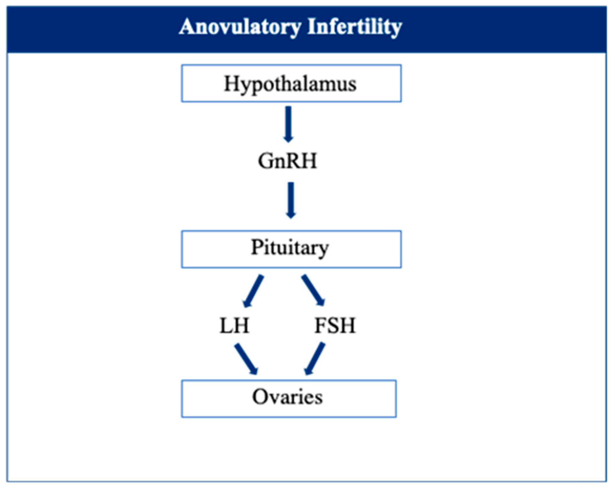 Beverages 10 00033 g004