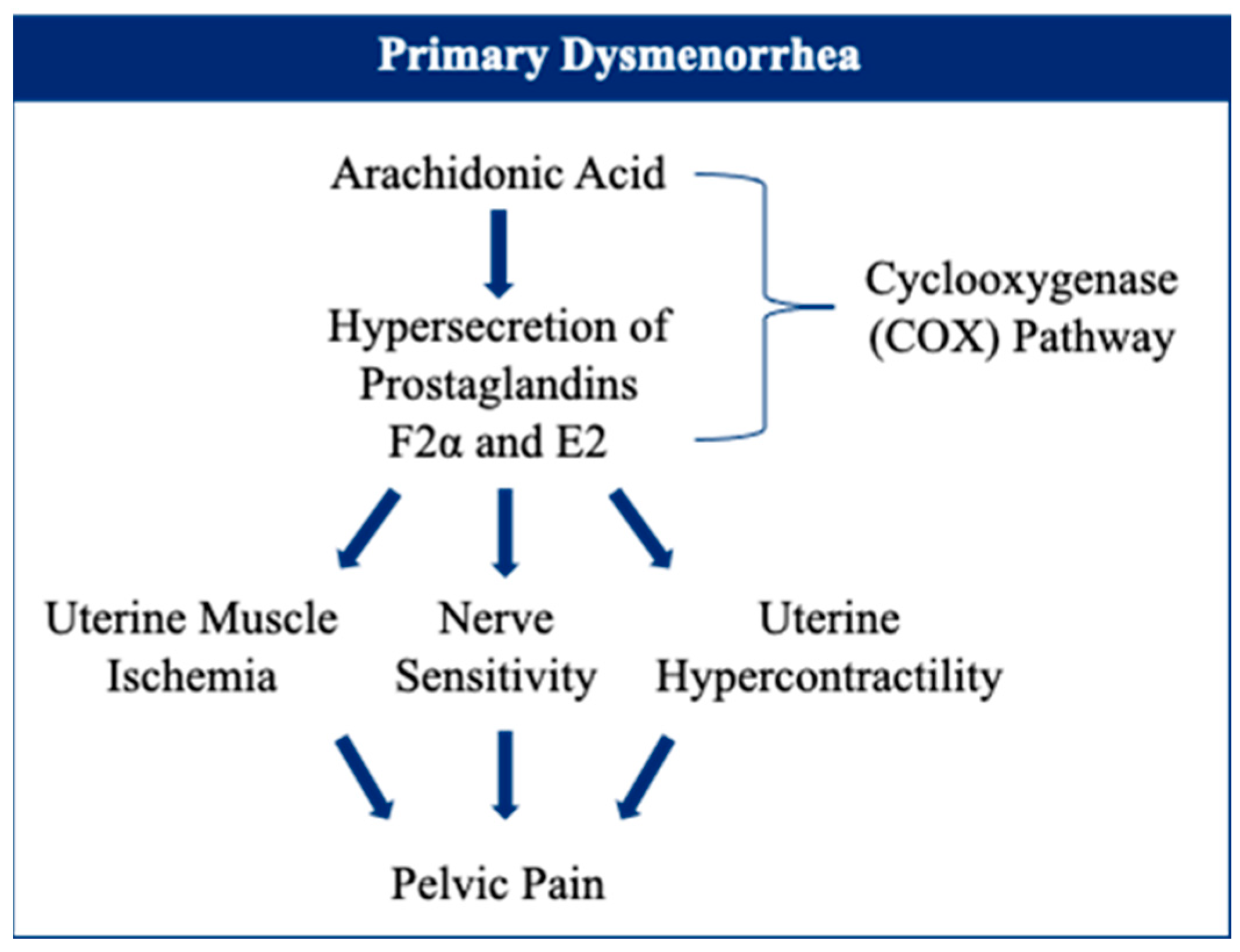 Beverages 10 00033 g005