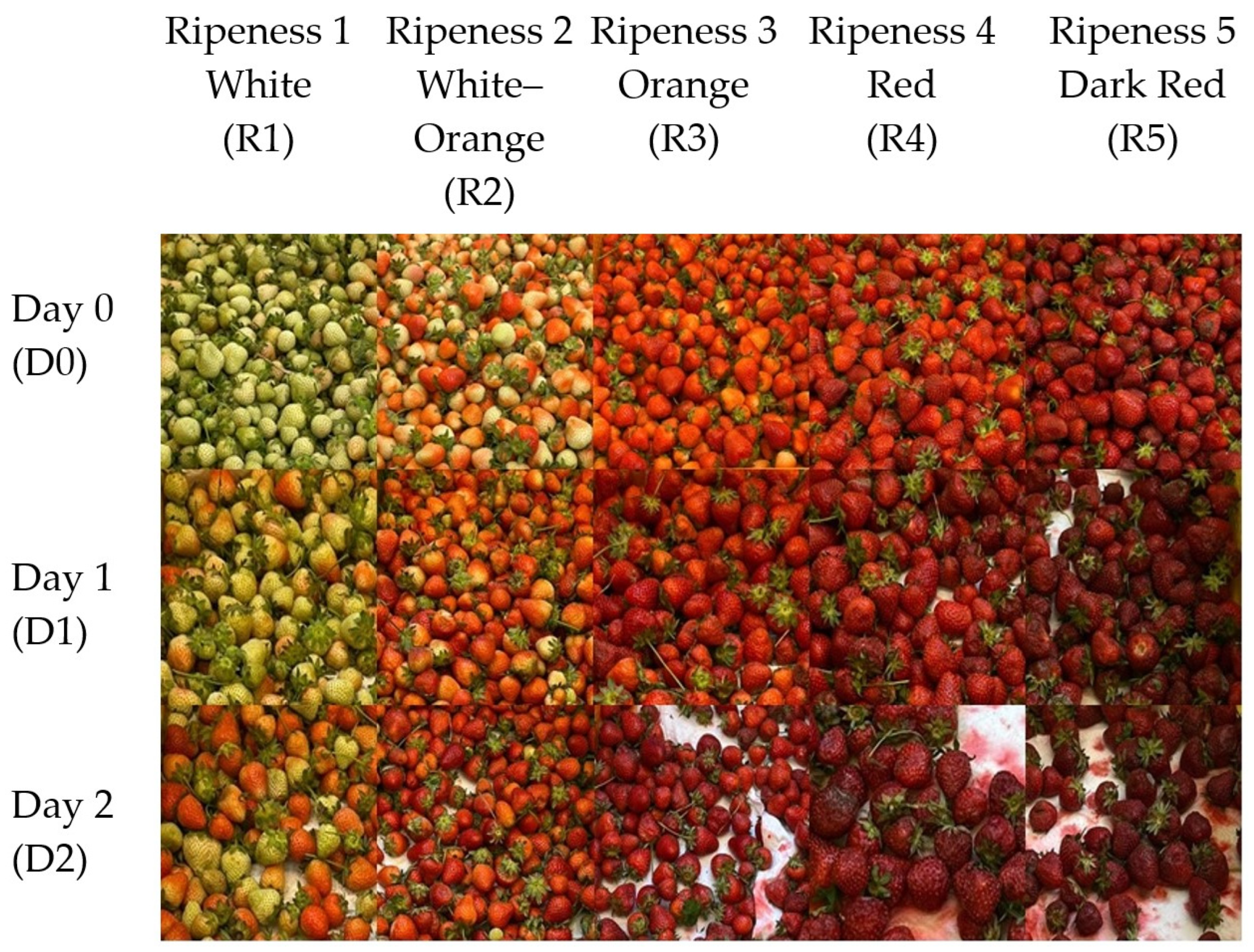 Beverages 10 00036 g001