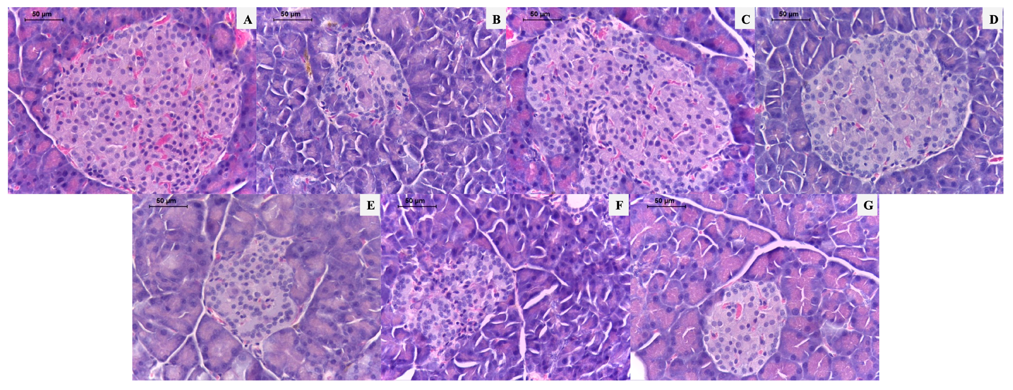 Beverages 10 00040 g002