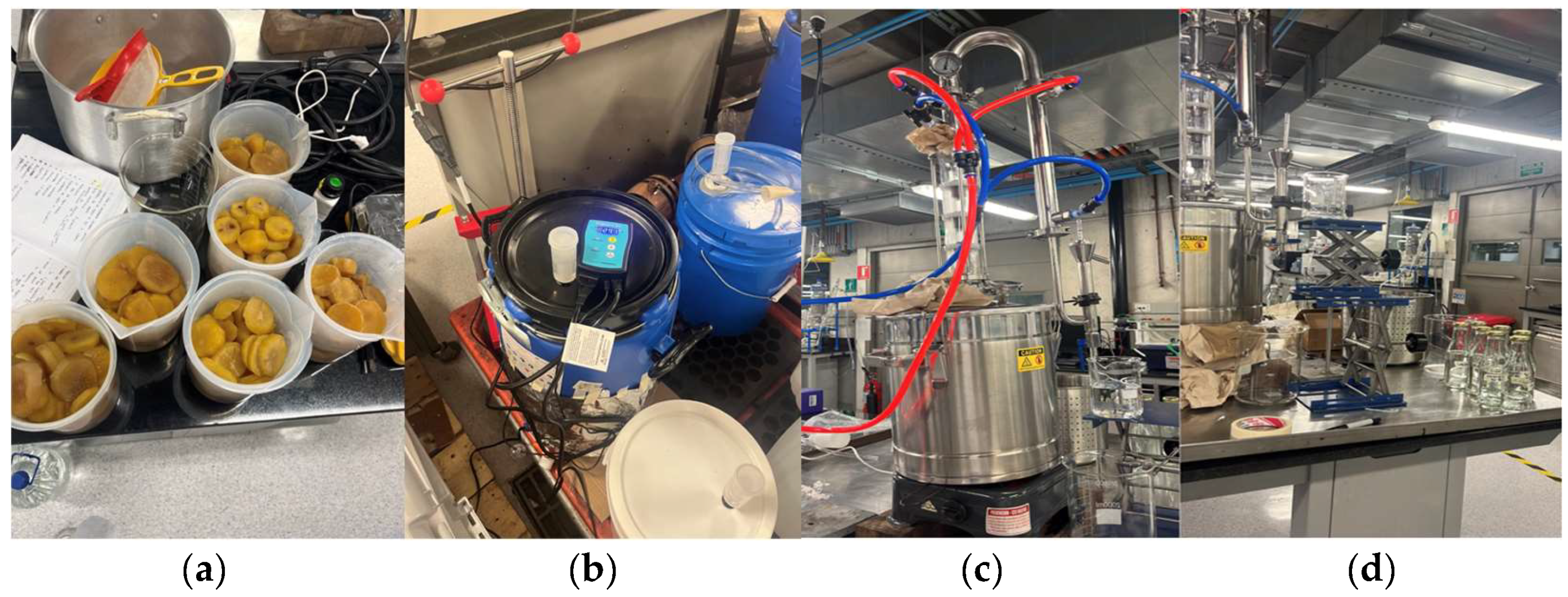 Beverages 10 00055 g002