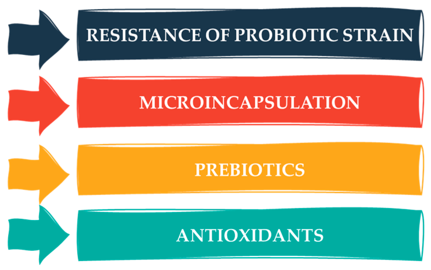 Beverages 10 00100 g003