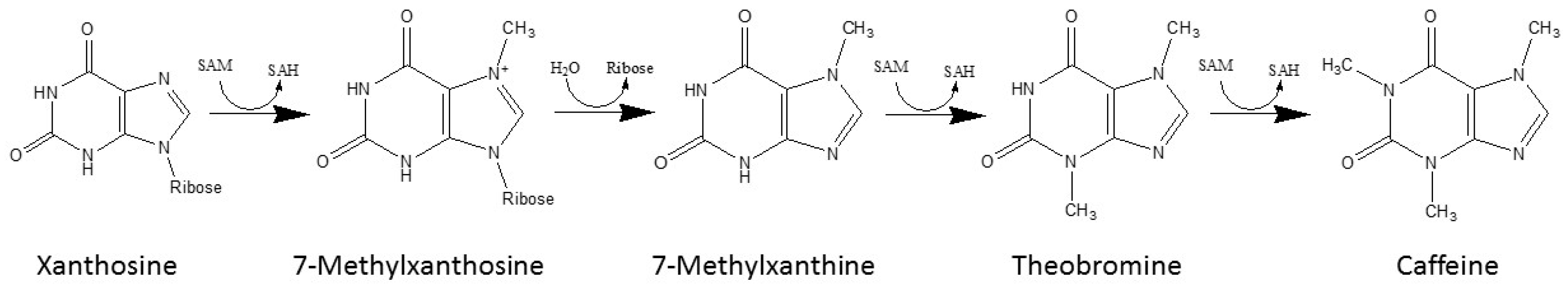 Beverages 11 00018 g002 Beverages 11 00018 g002