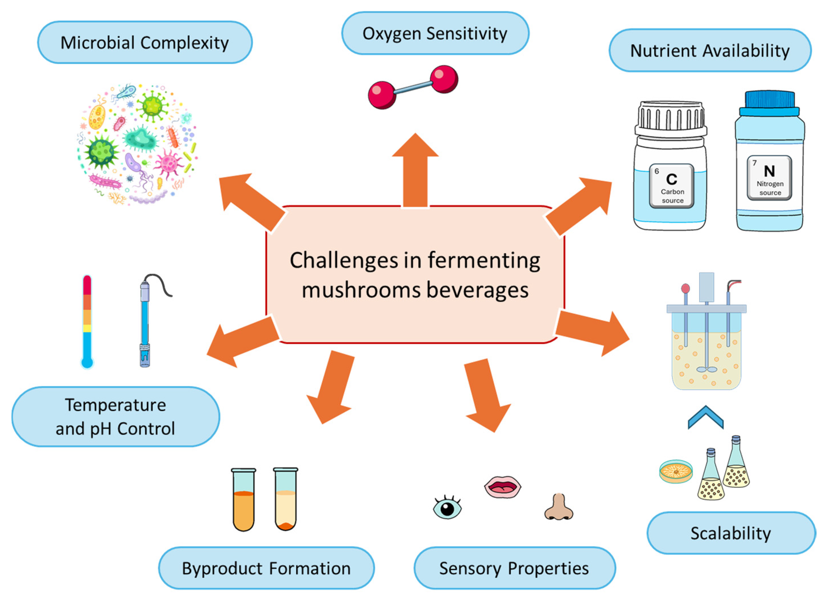Beverages 11 00019 g001