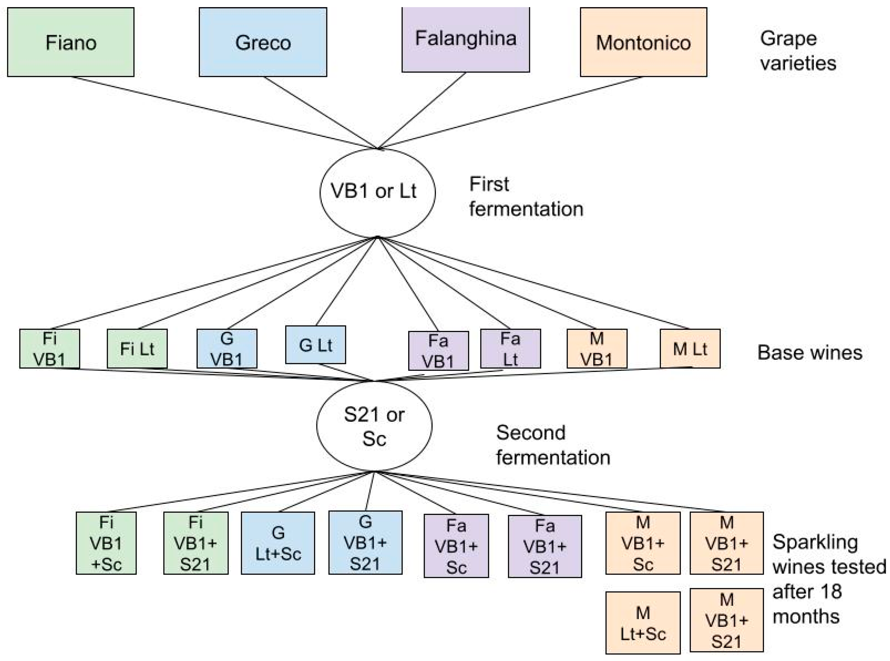 Beverages 11 00025 g001