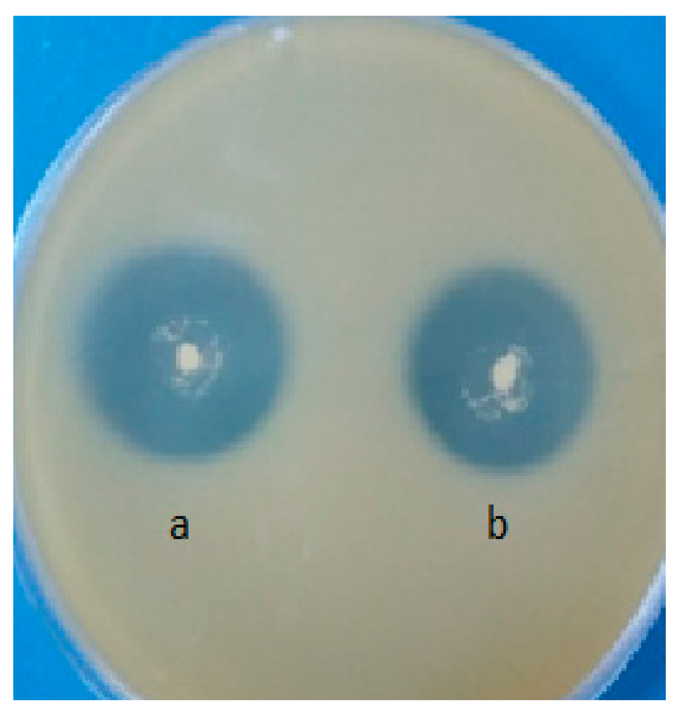 Beverages 11 00027 g004 Beverages 11 00027 g004