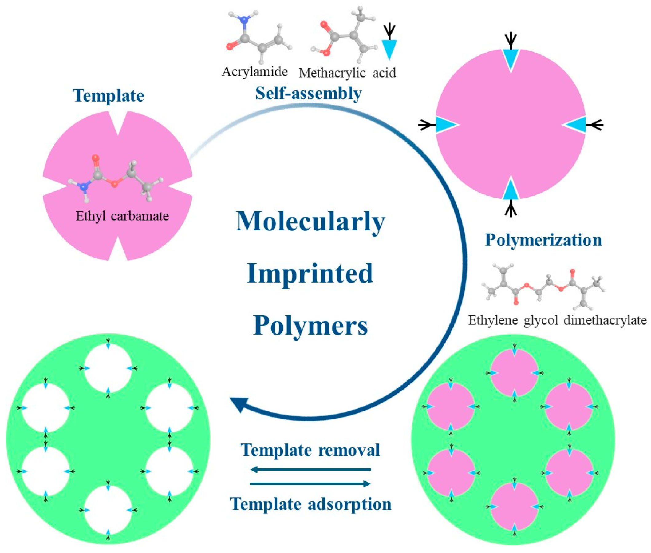 Beverages 11 00030 g003