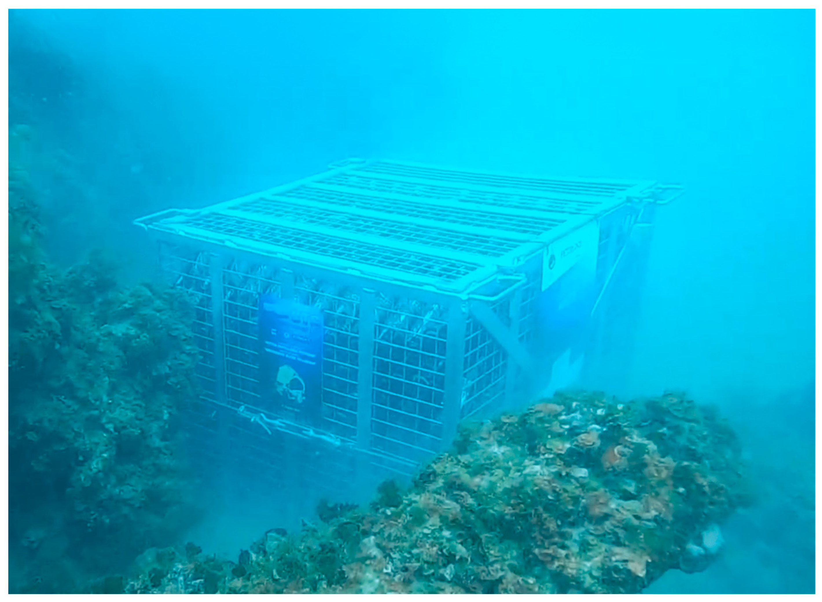 Beverages 11 00043 g001 Beverages 11 00043 g001