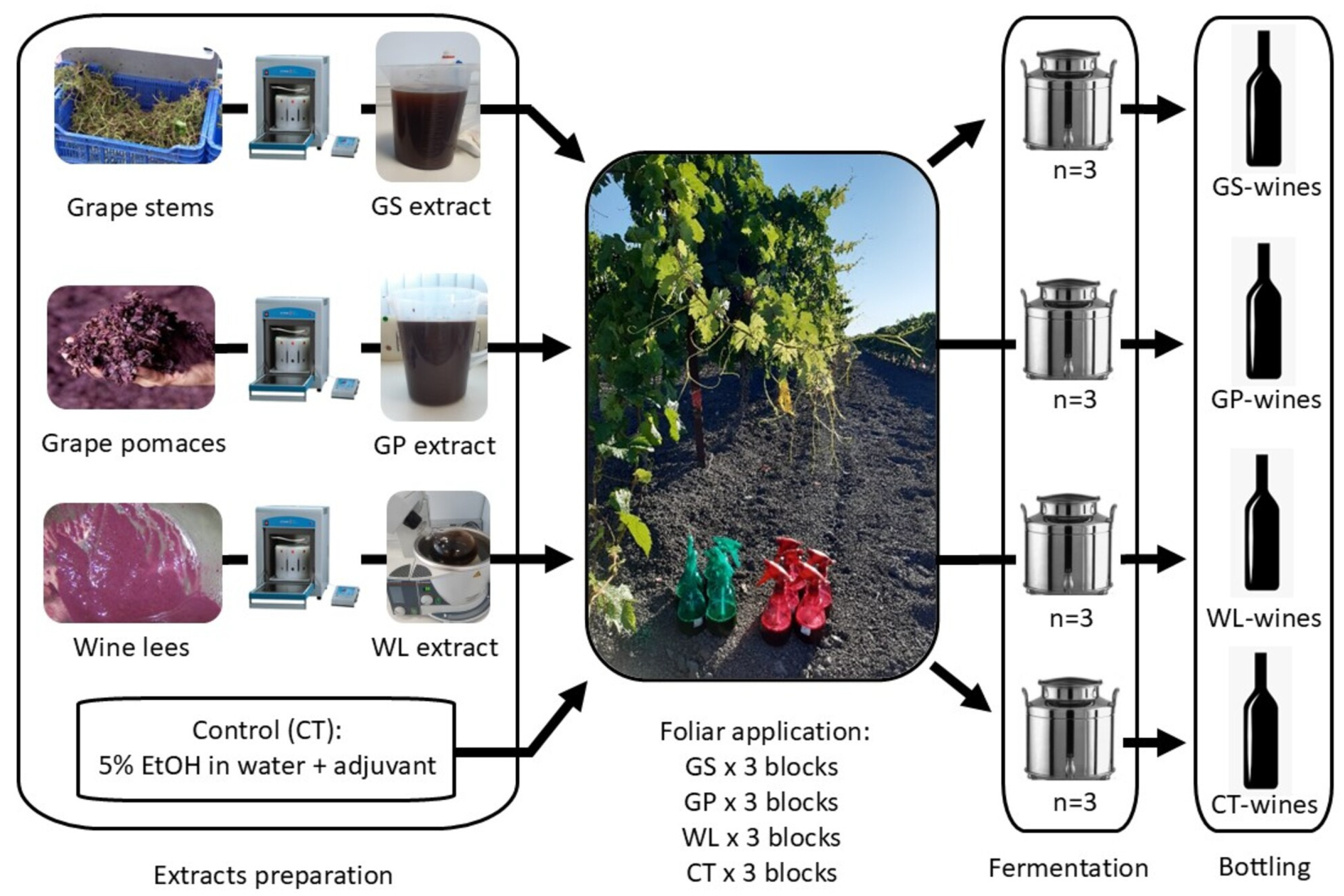 Beverages 11 00060 g001