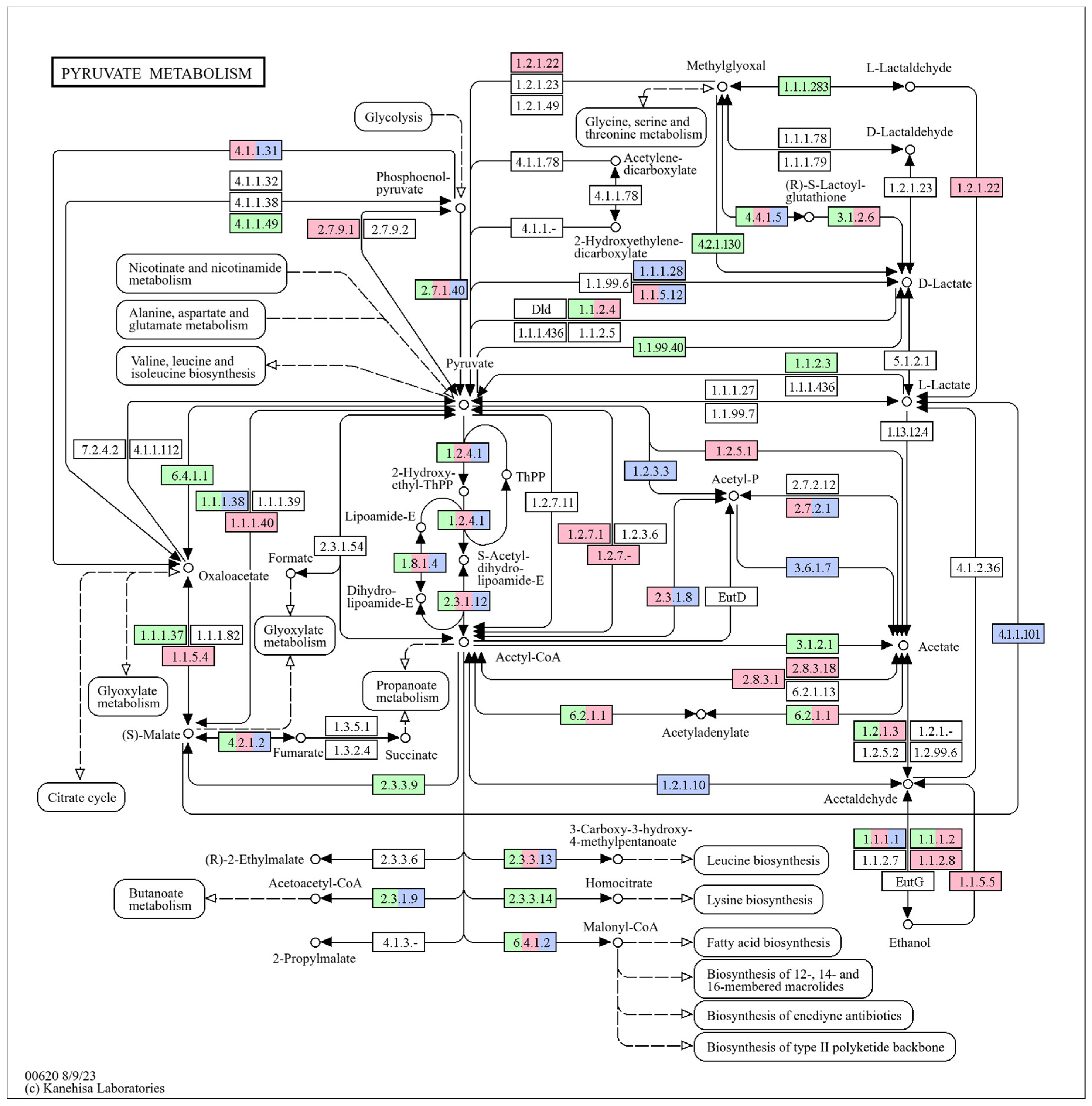 Beverages 11 00071 g004