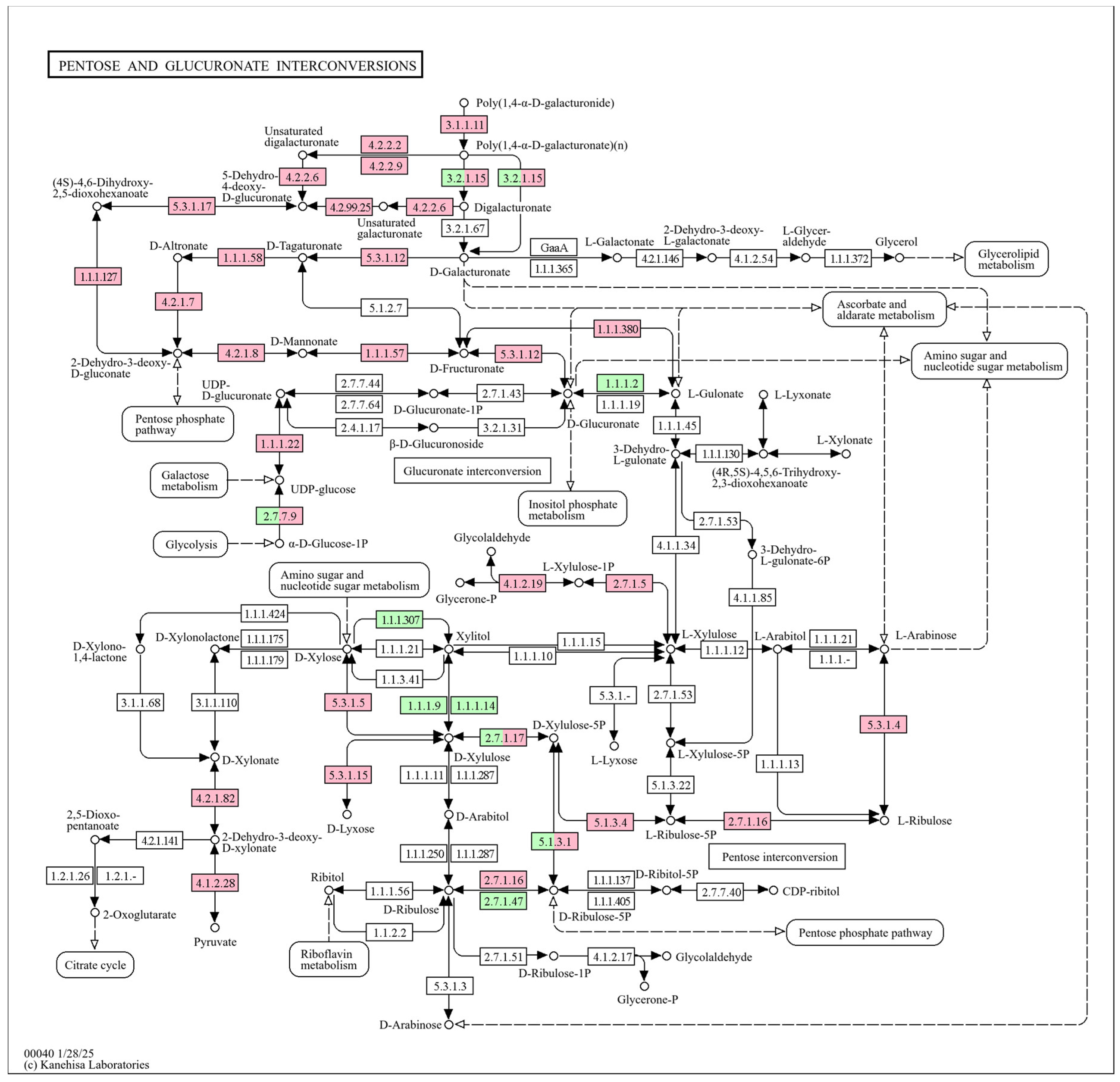 Beverages 11 00071 g005