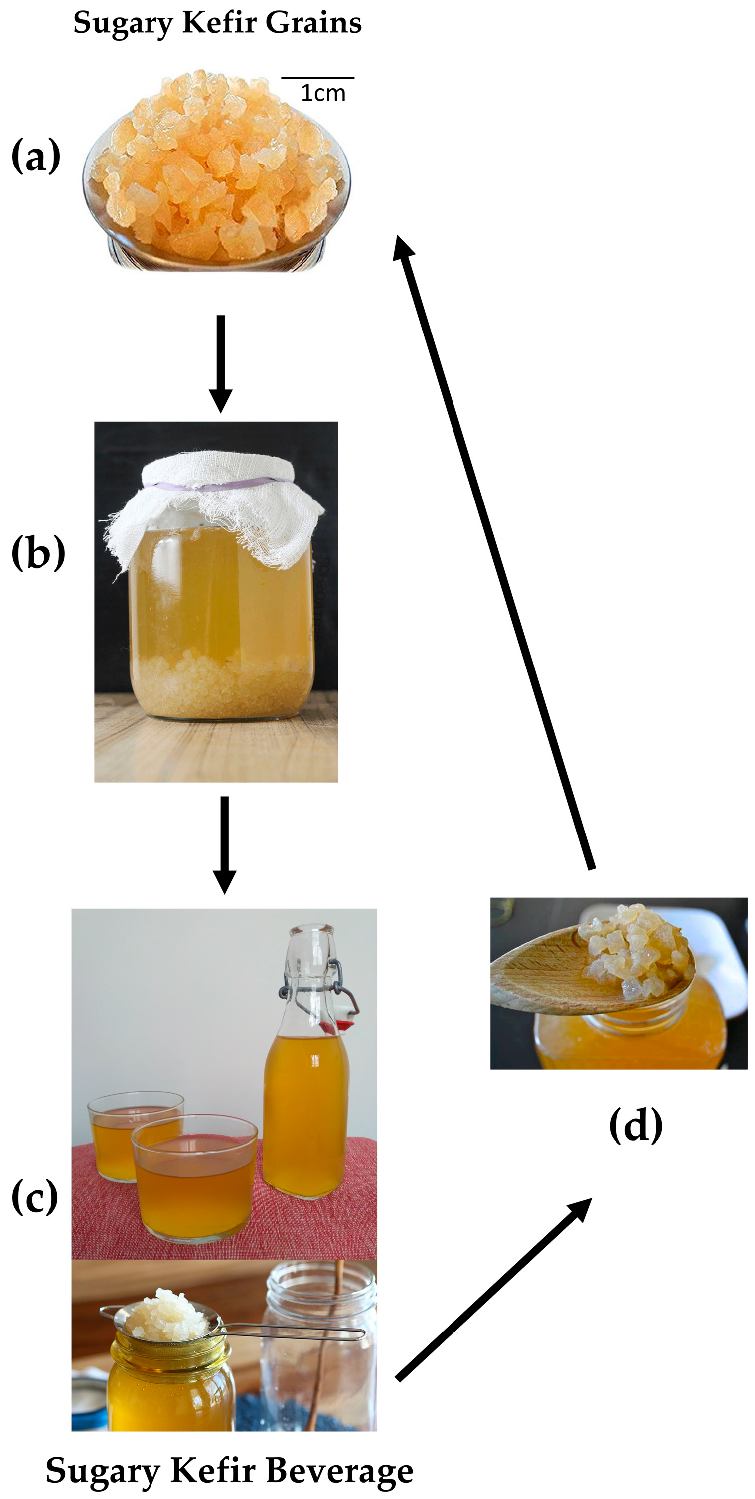 Beverages 11 00075 g001