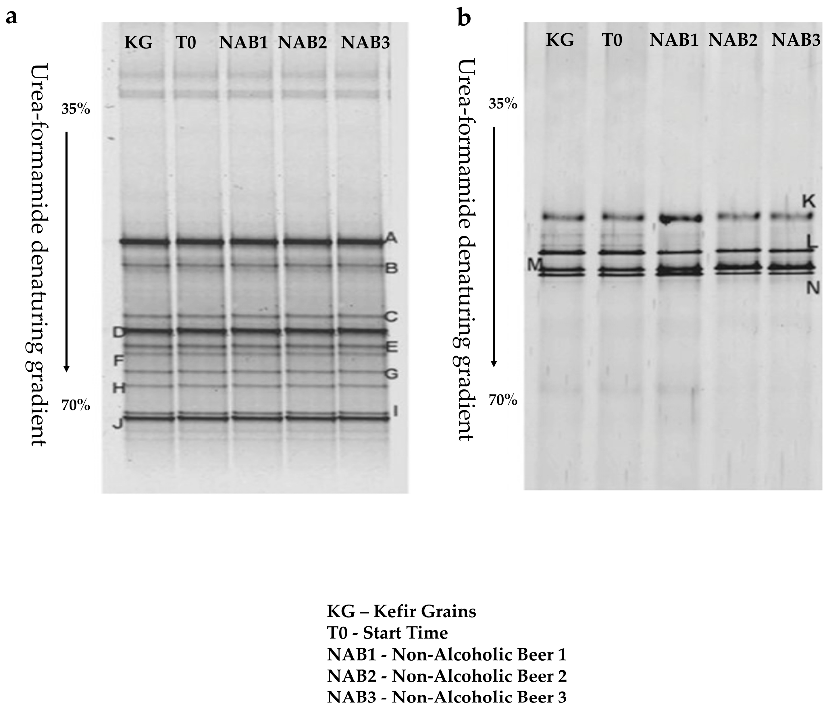 Beverages 11 00075 g003