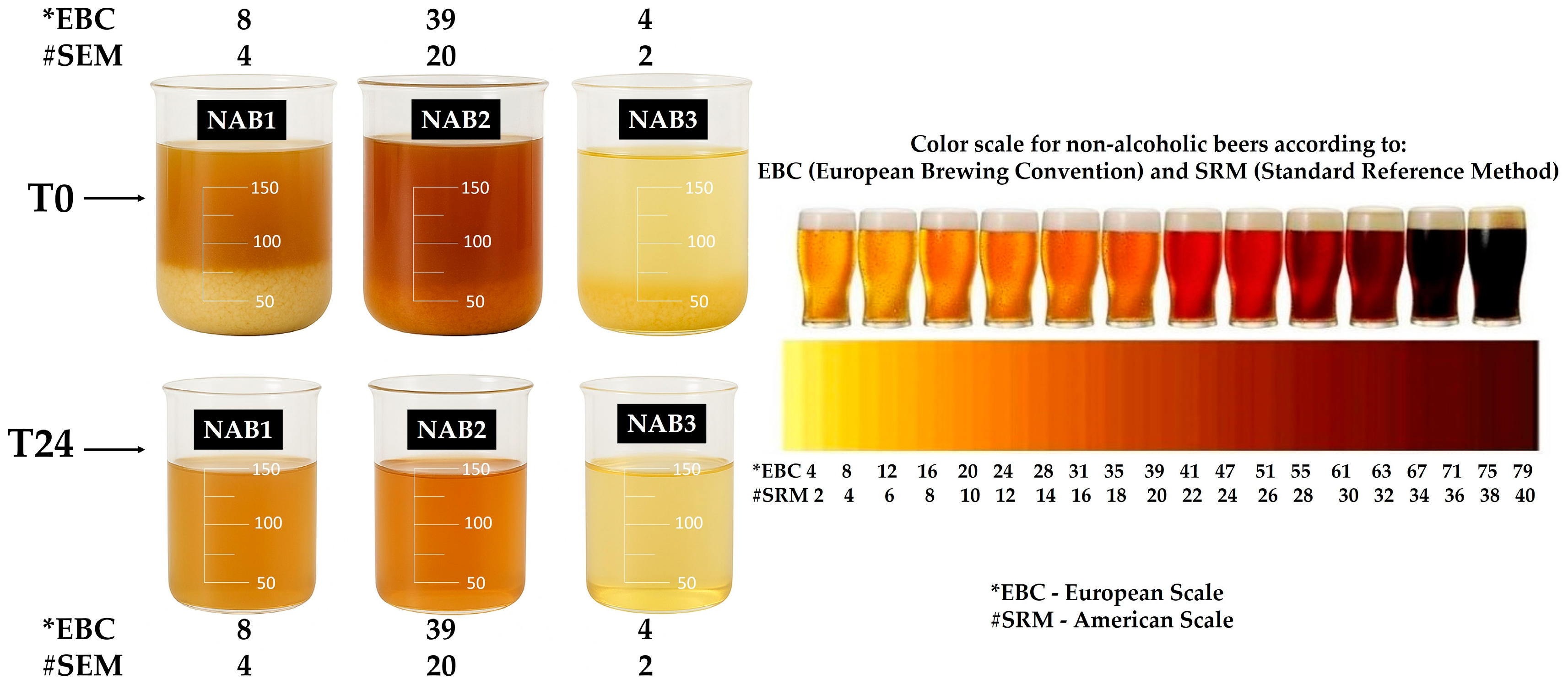 Beverages 11 00075 g004